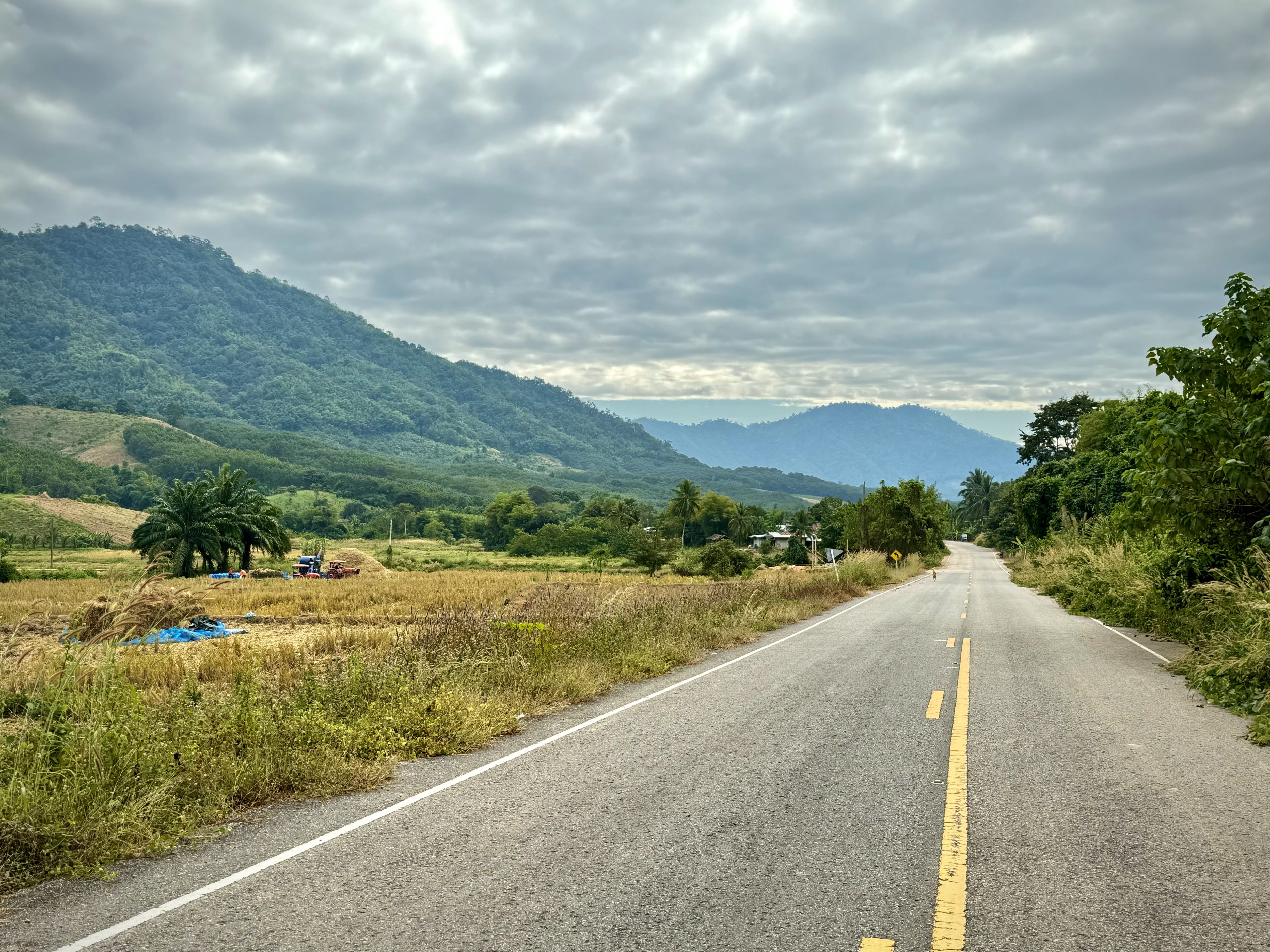 Scenic road in Udon Thani