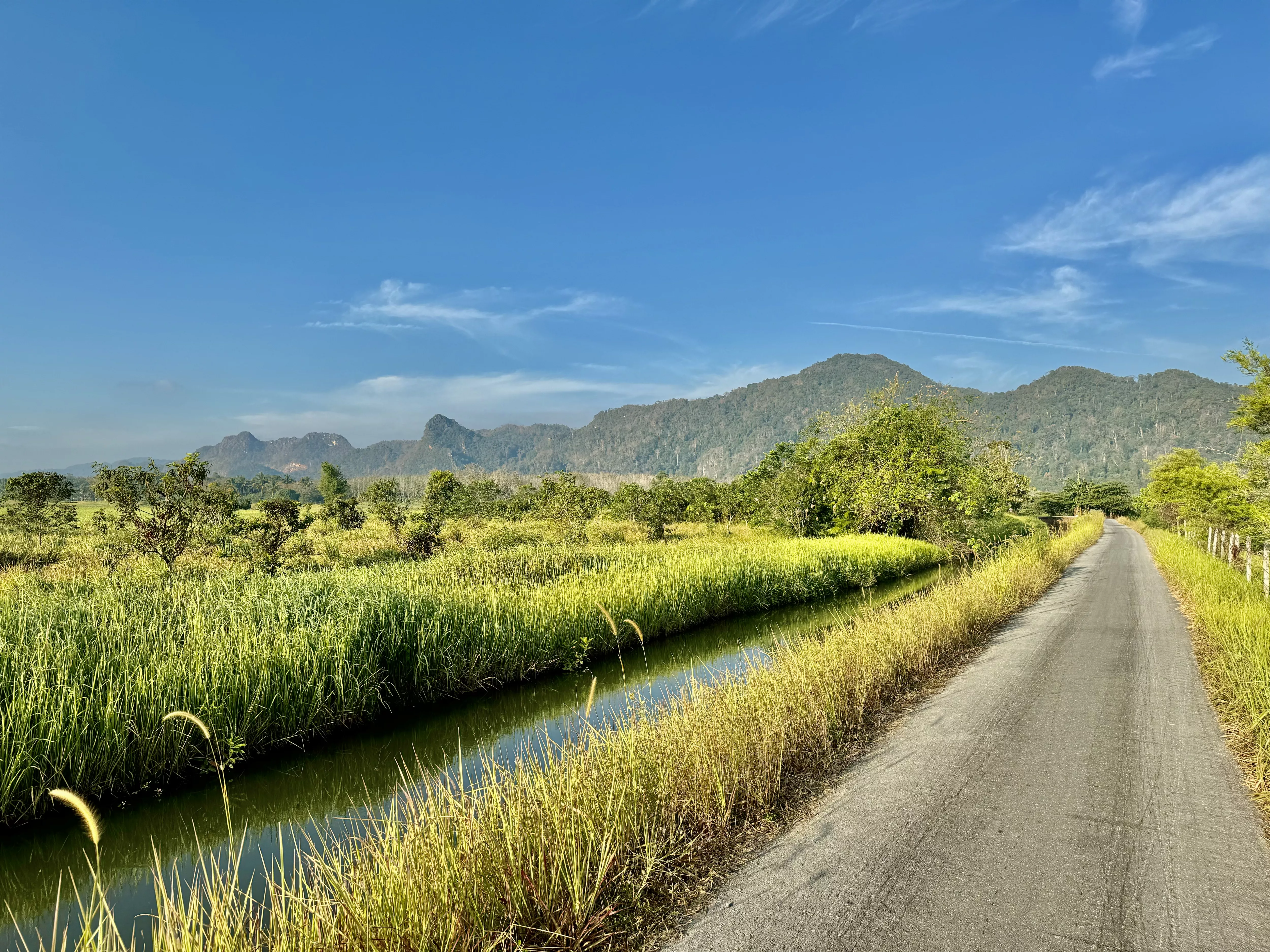 Small farm roads in Malaysia with green rice fields and mountains