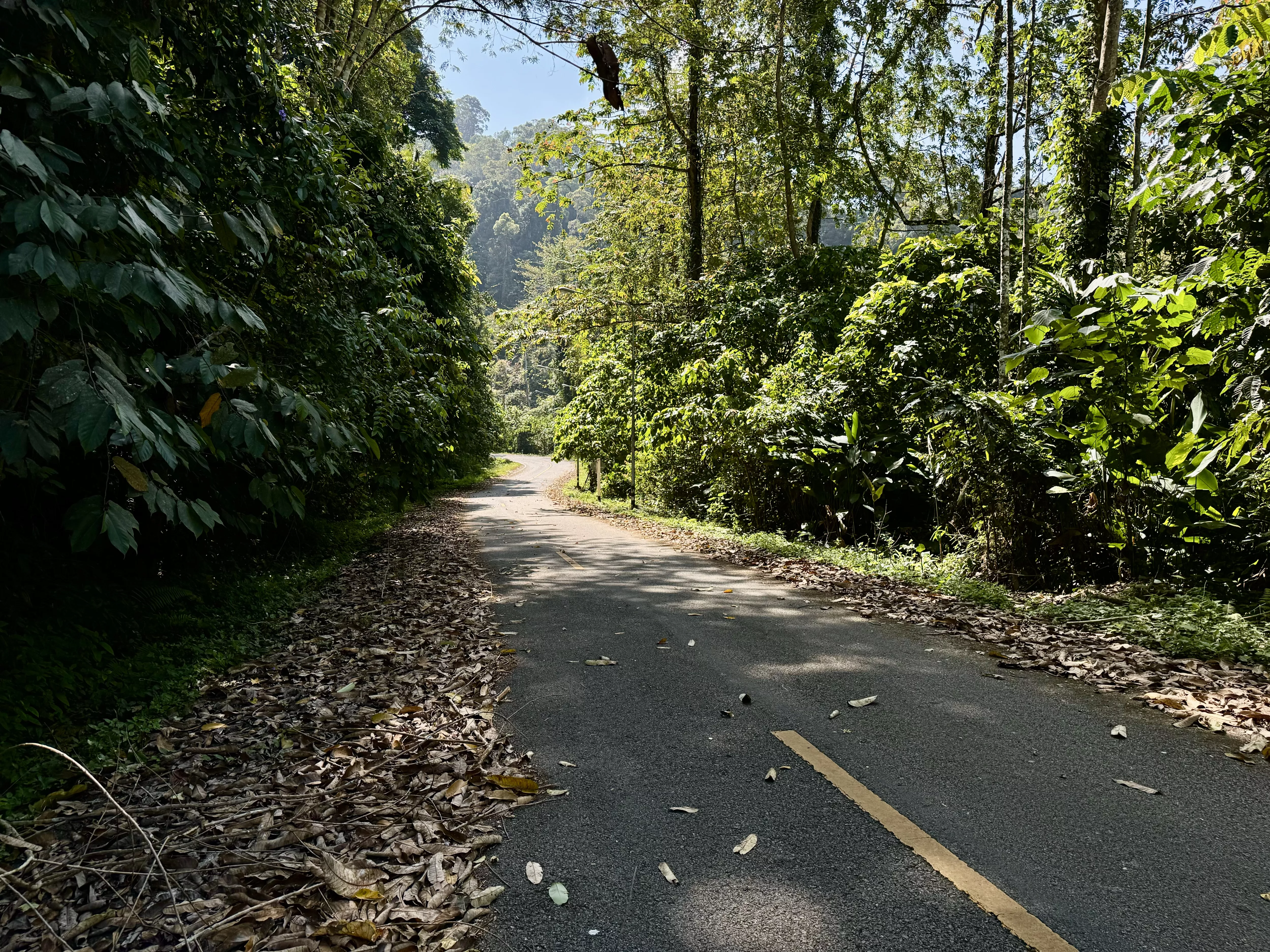 Rural road in Yala, Thailand