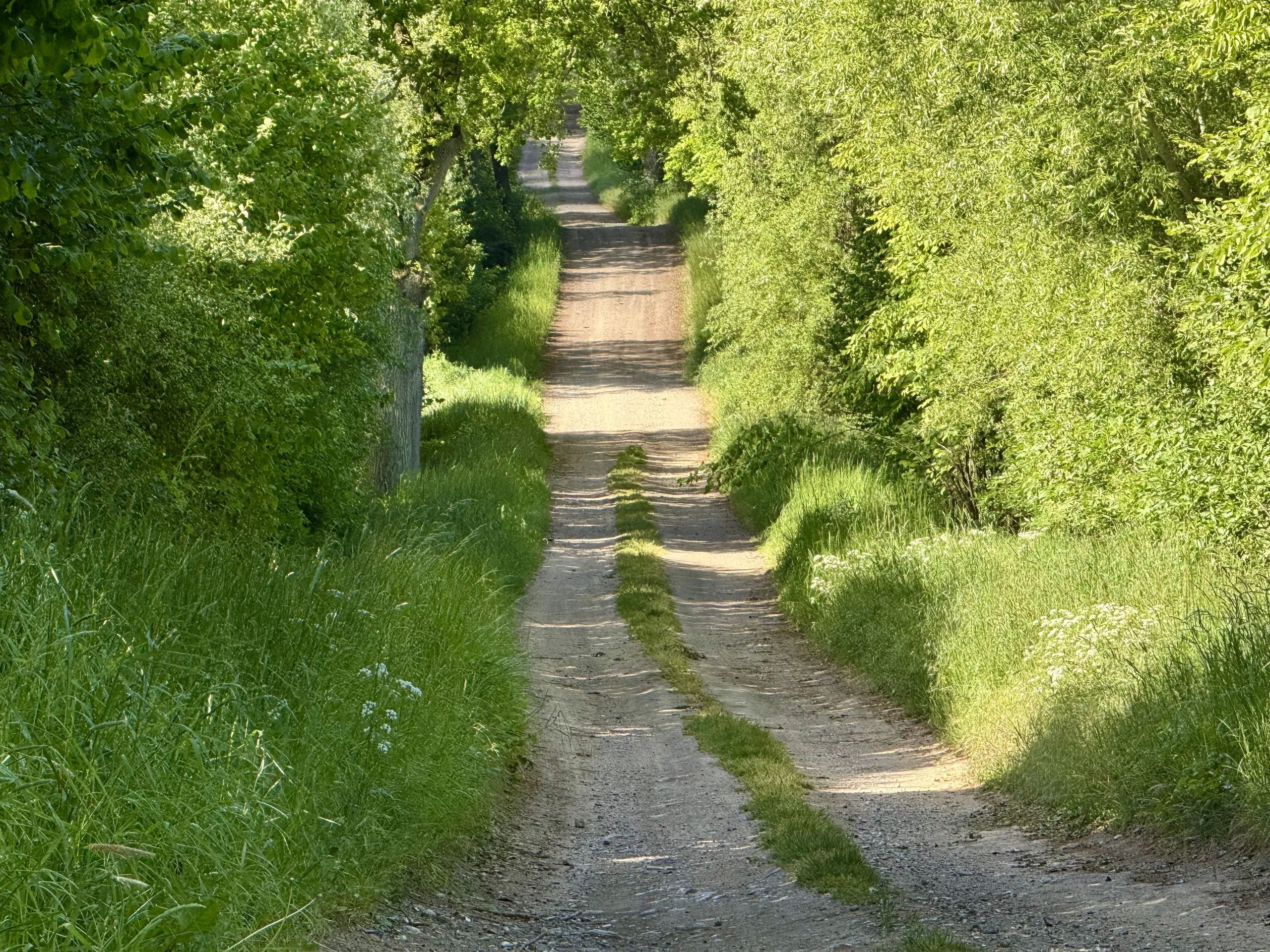 Trans Euro Trail (TET) Germany
