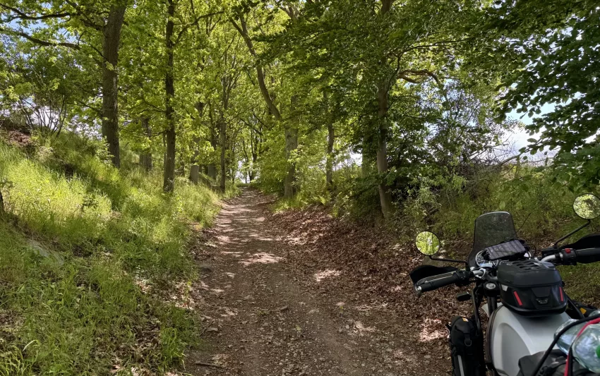 TETTrans Euro Trail Germany / Royal Enfield Himalayan