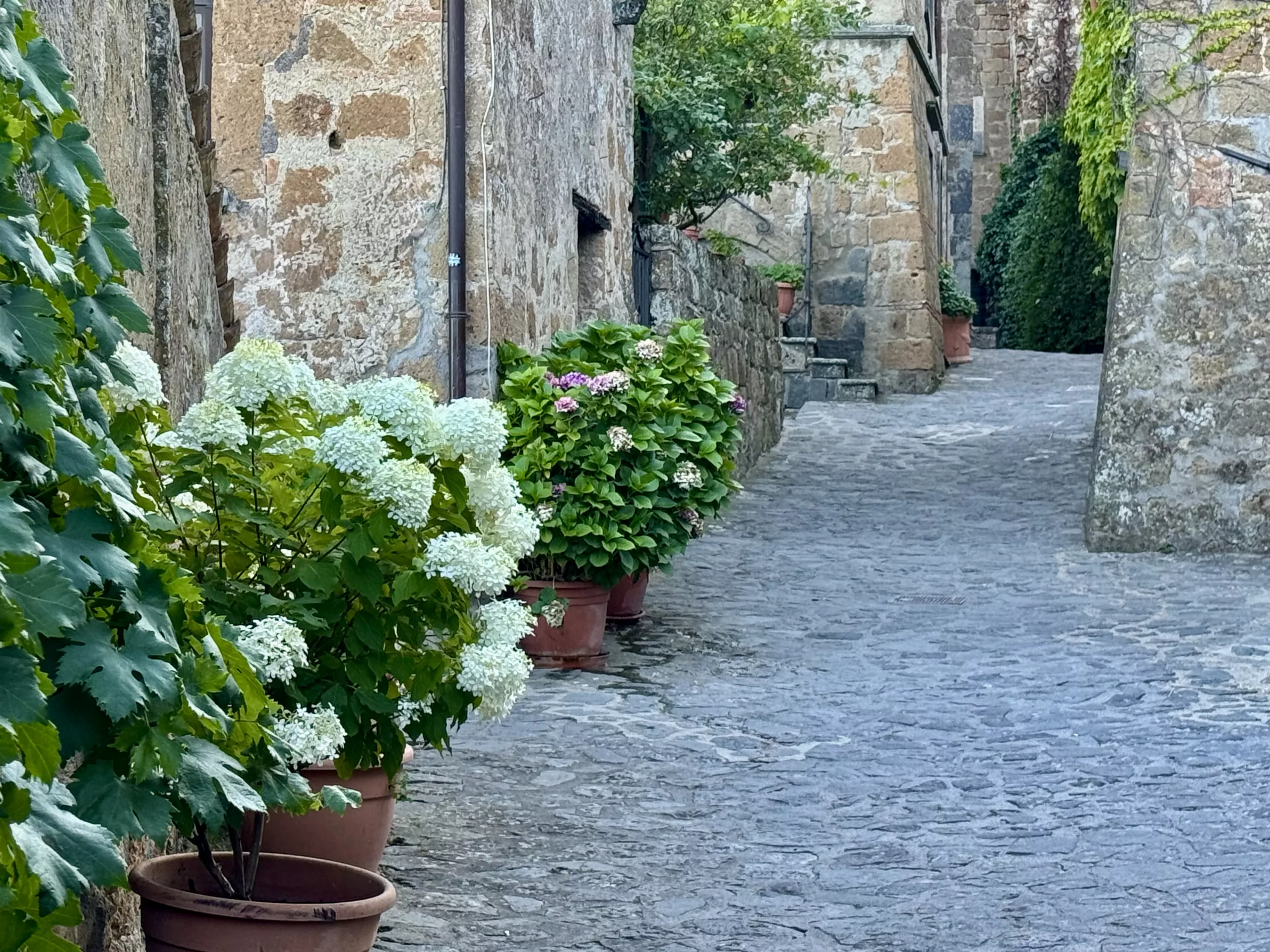 Civita del Bagnoregio, Italy