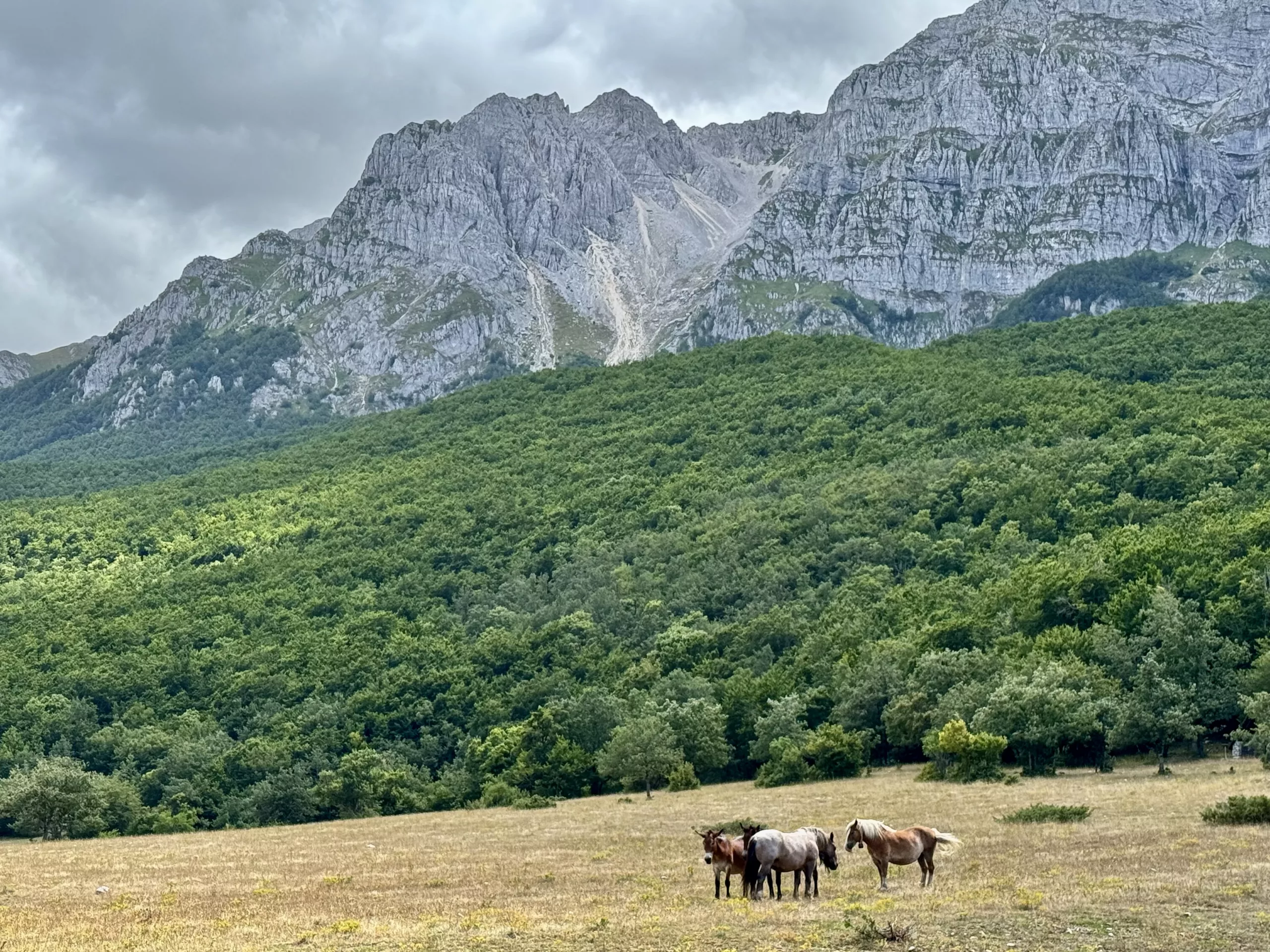 Sirente-Vellino Regional Park, Italy