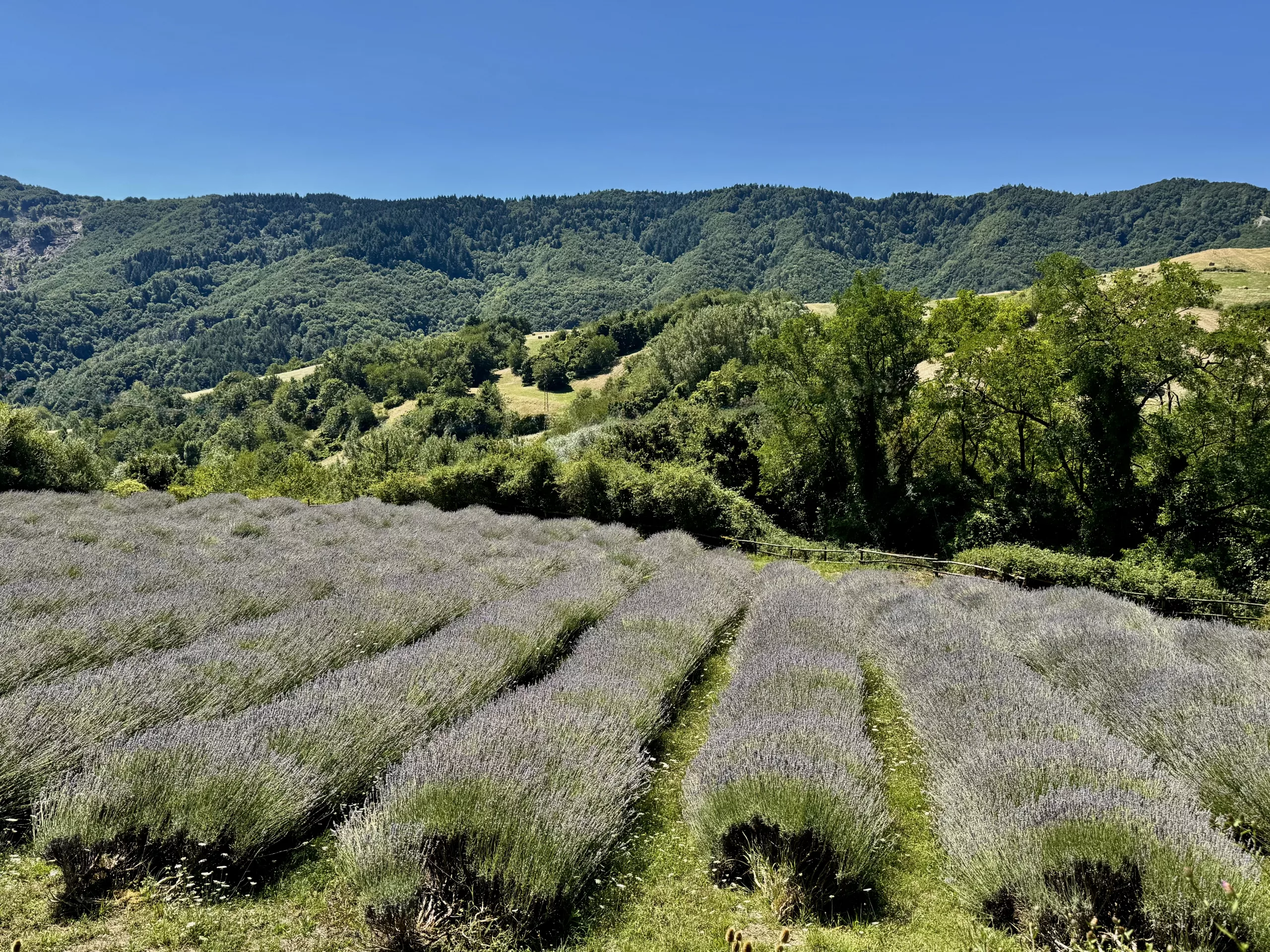 Emilia Romagna, Italy