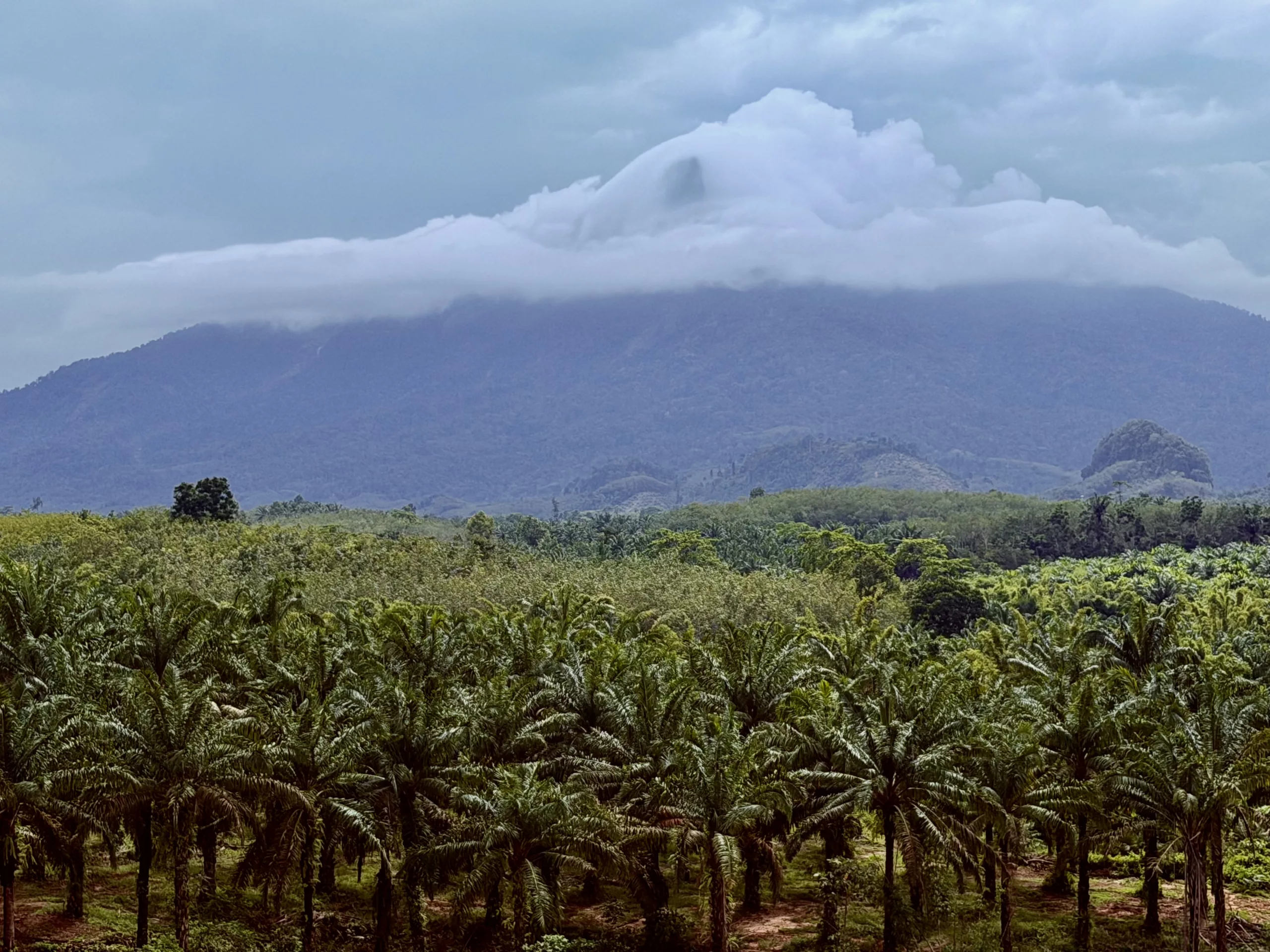 Khao Phanom, Thailand