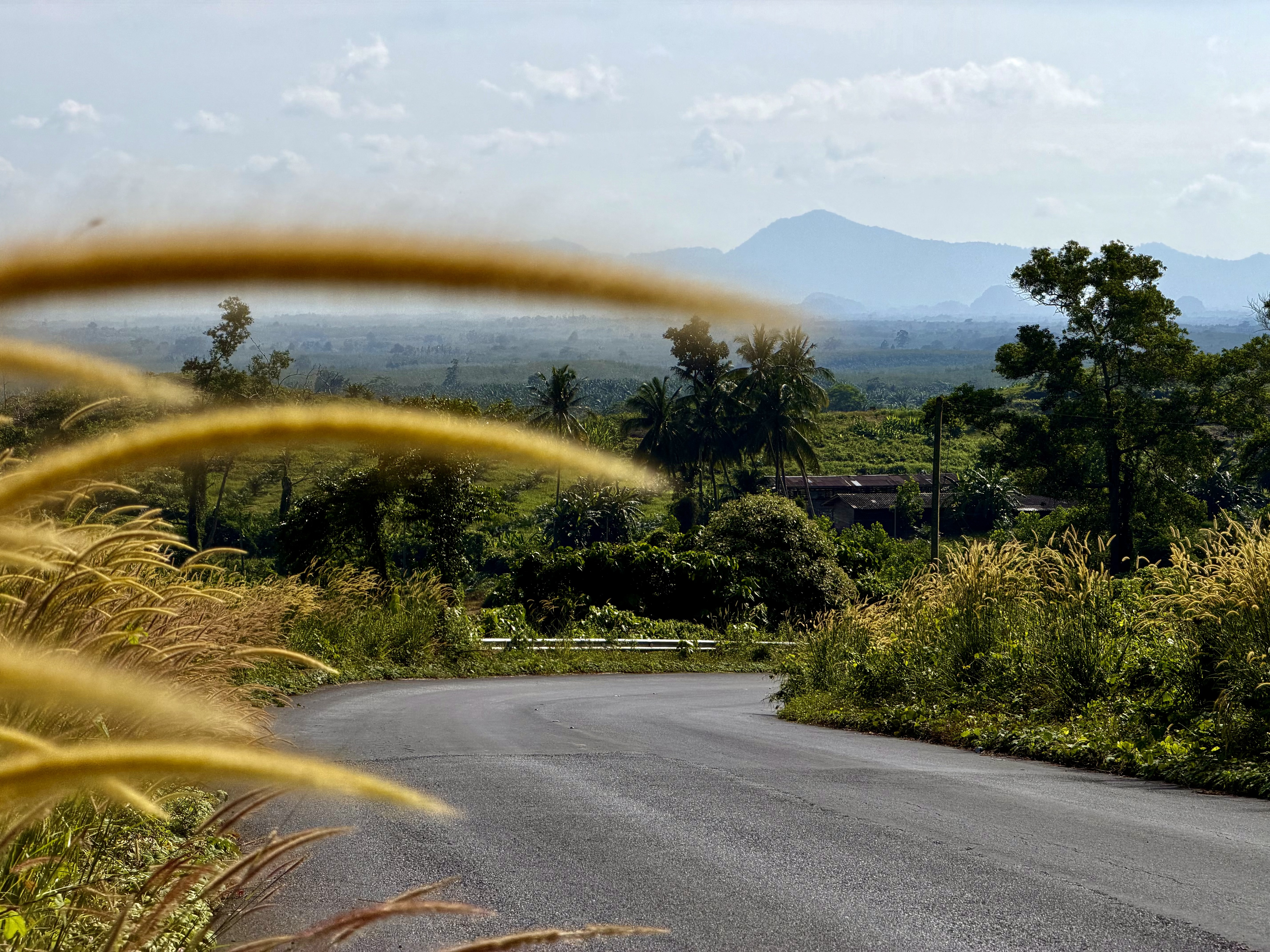 Yala, Thailand road in countryside