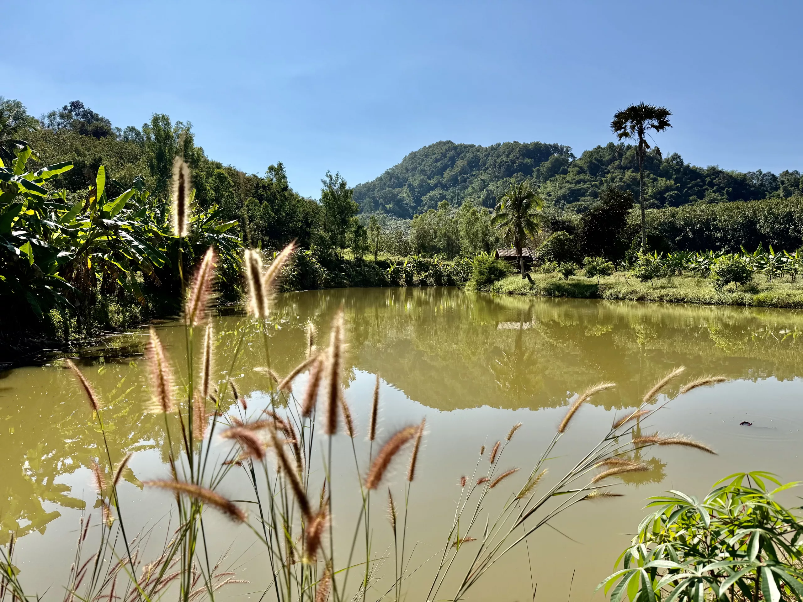 Loei,Thailand rural scenery