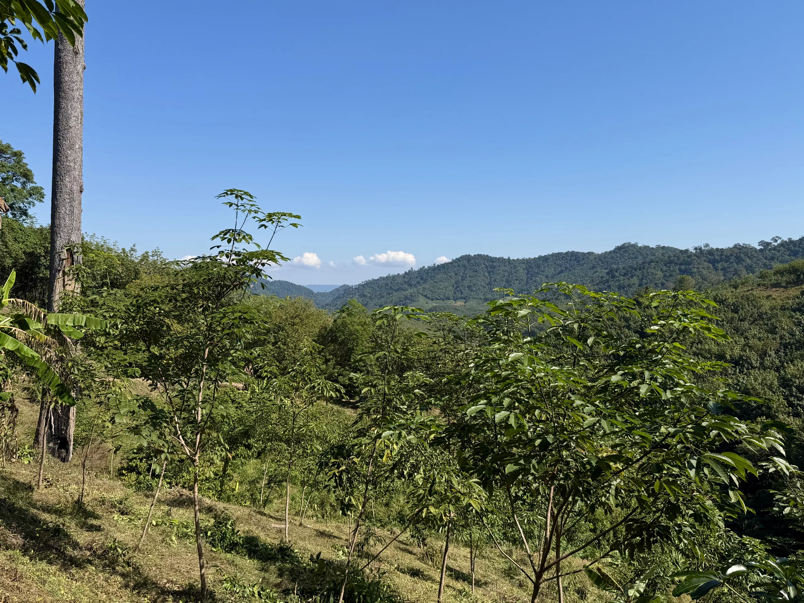 Loei,Thailand rural scenery
