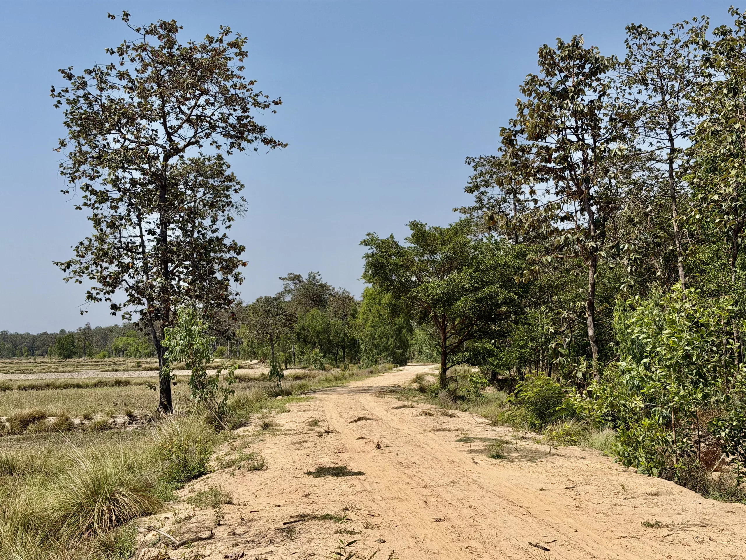 Sand track along the Mun River, Thailand