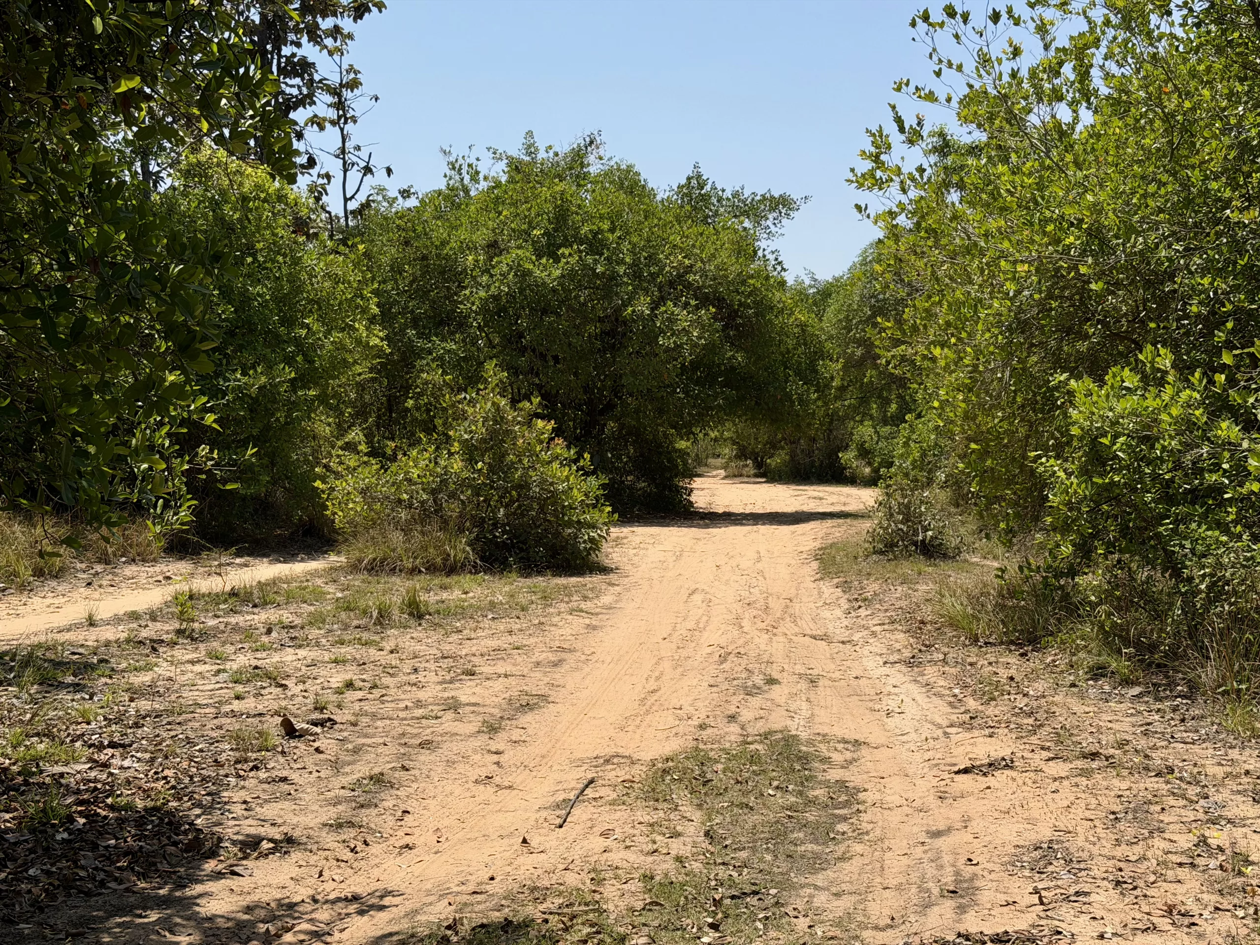 Sand track along the Mun River, Thailand
