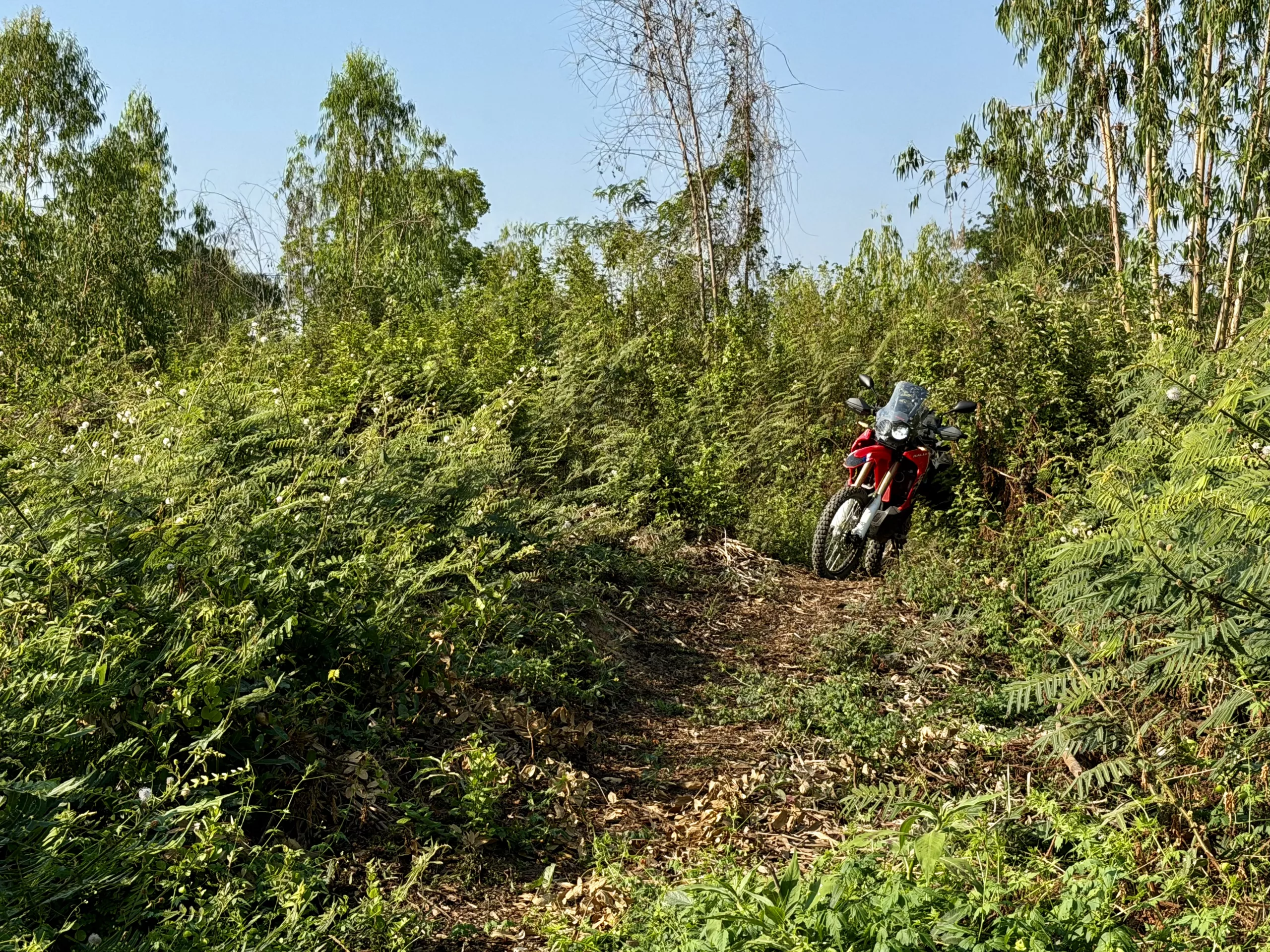 Honda CRF 300 single trail, Thailand
