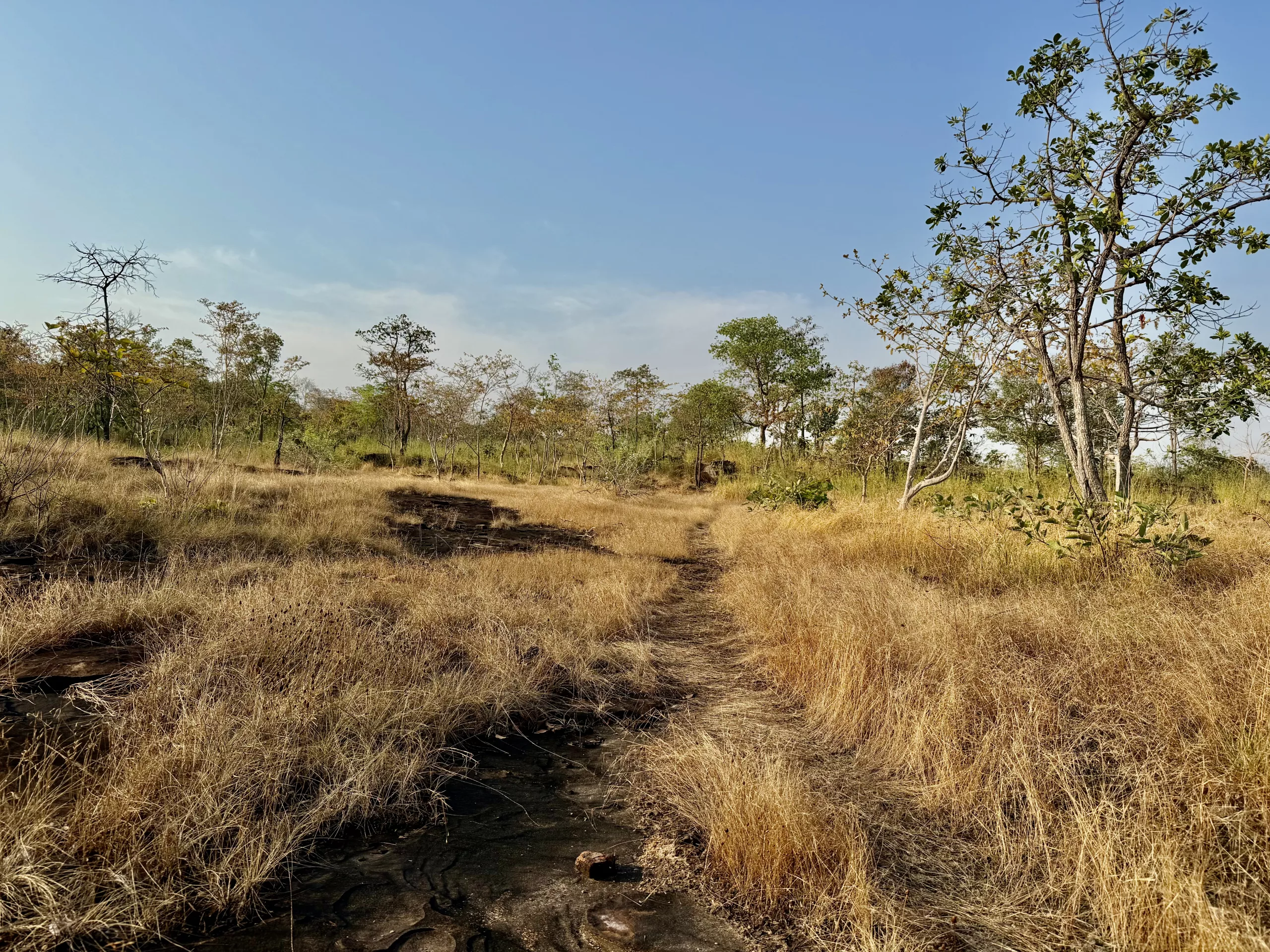 Off Road single Trails along the Thailand / Laos border