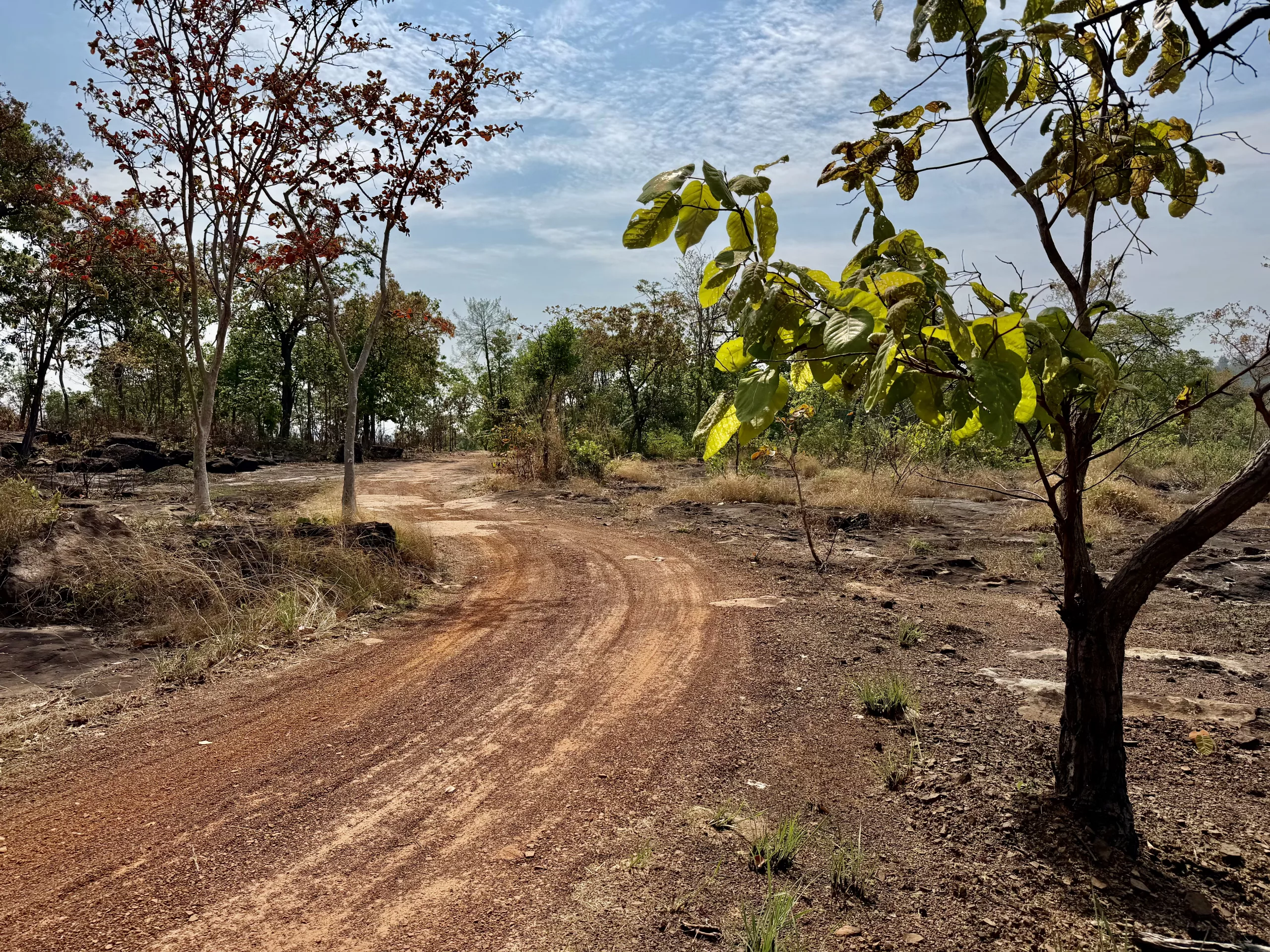 Farm tracks, Thailand