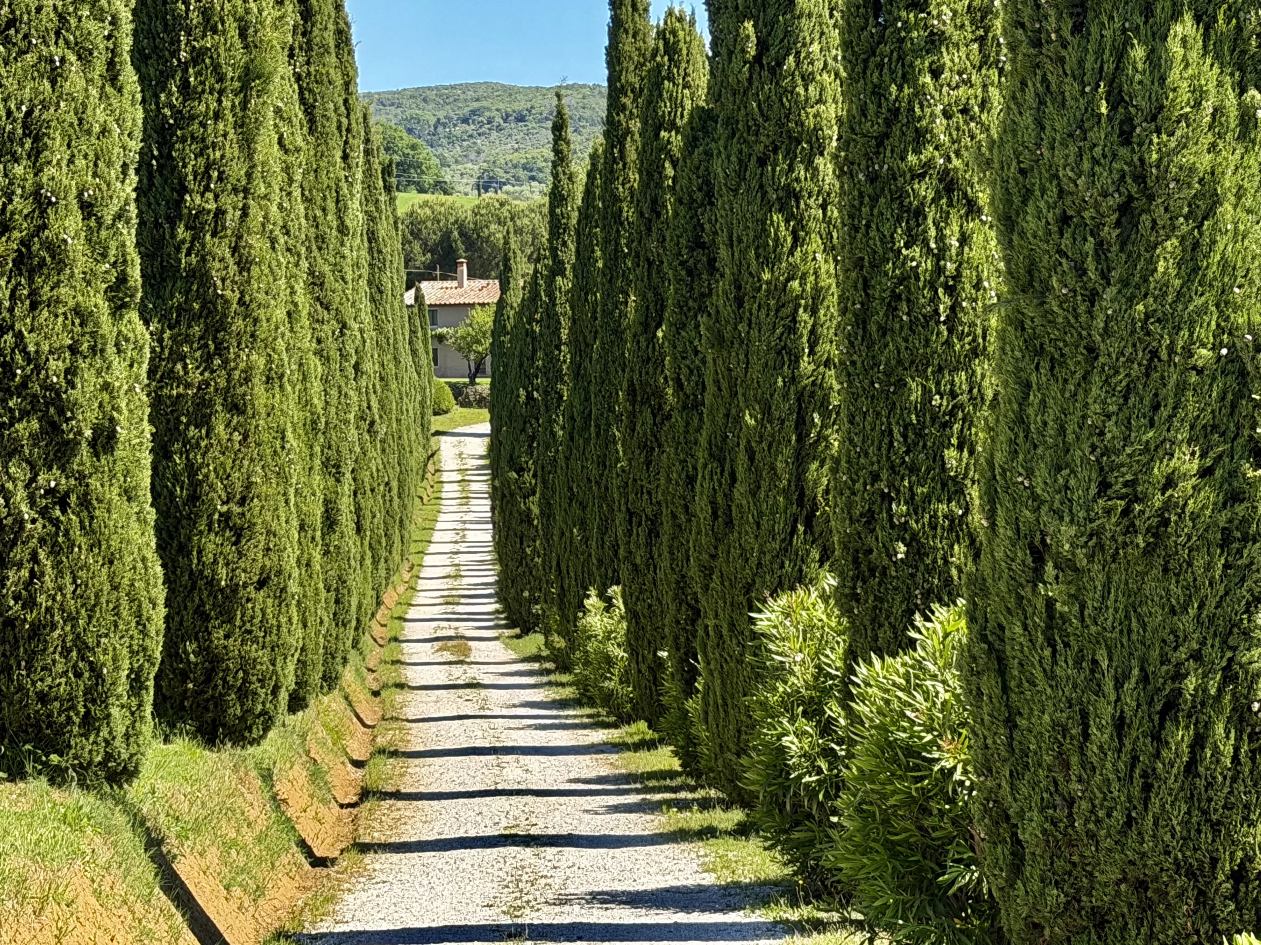 Riparbella, Italy