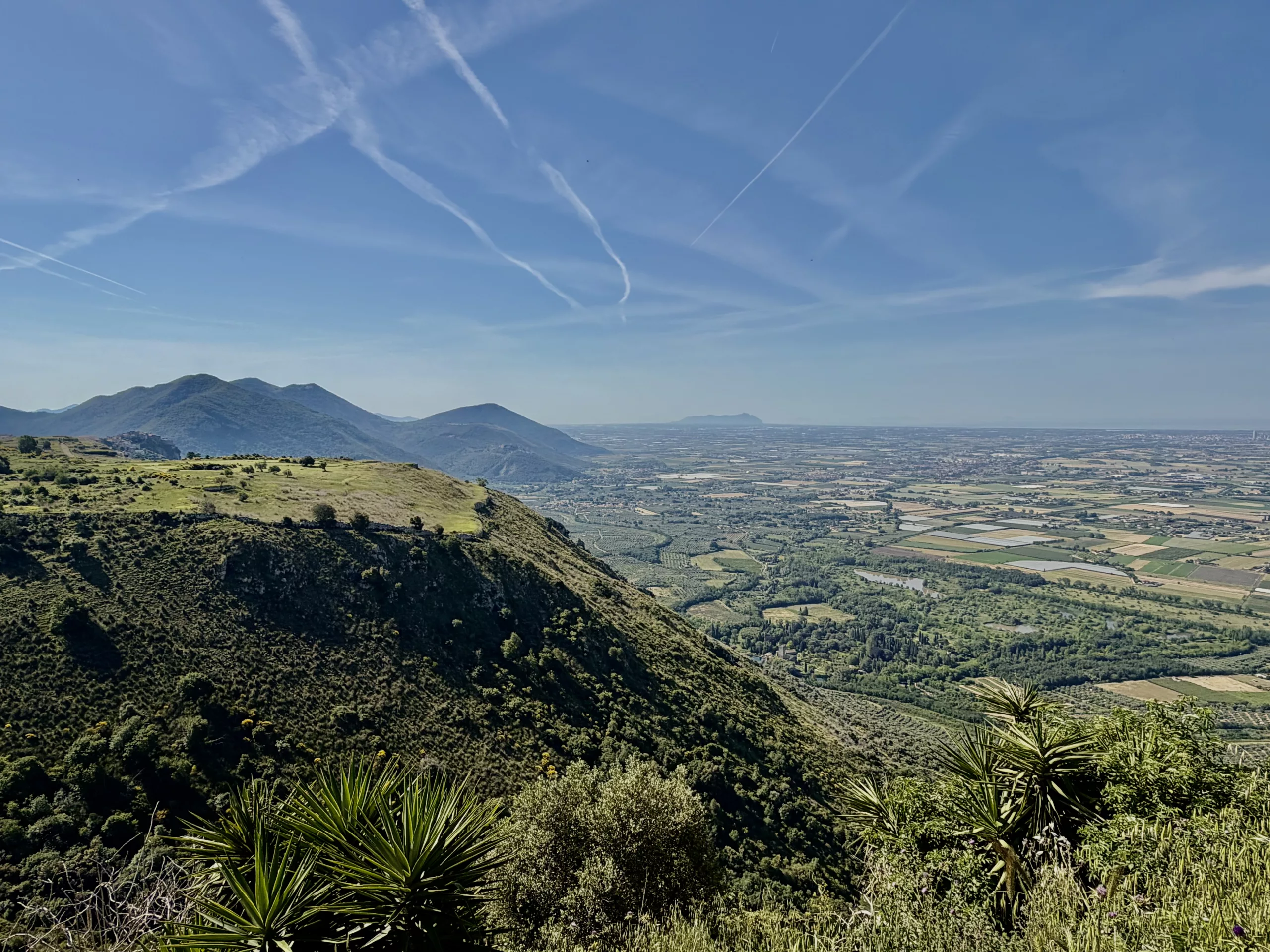 Norma, Italy #dustysocks