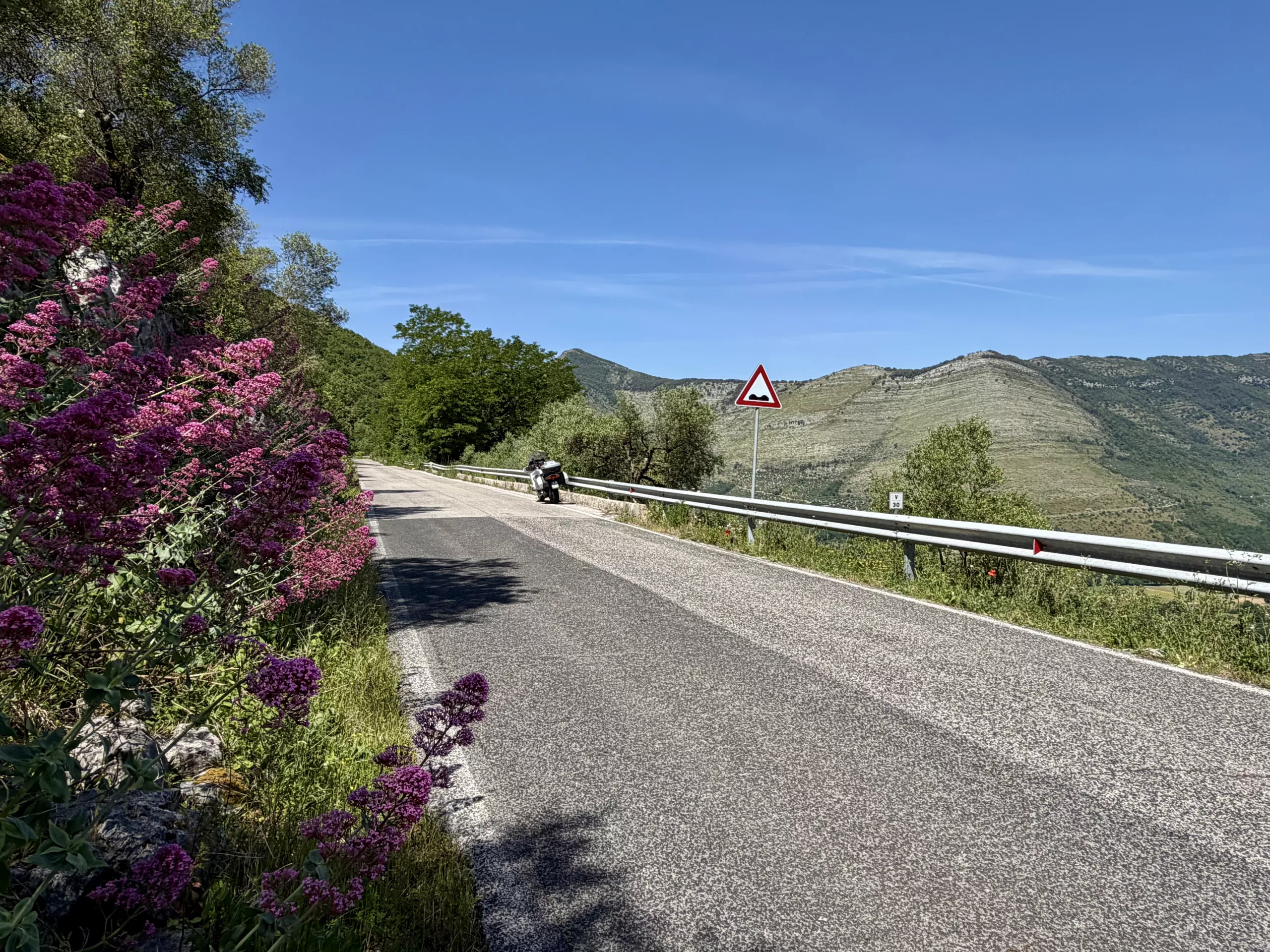 Vallecorsa, Italy #dustysocks