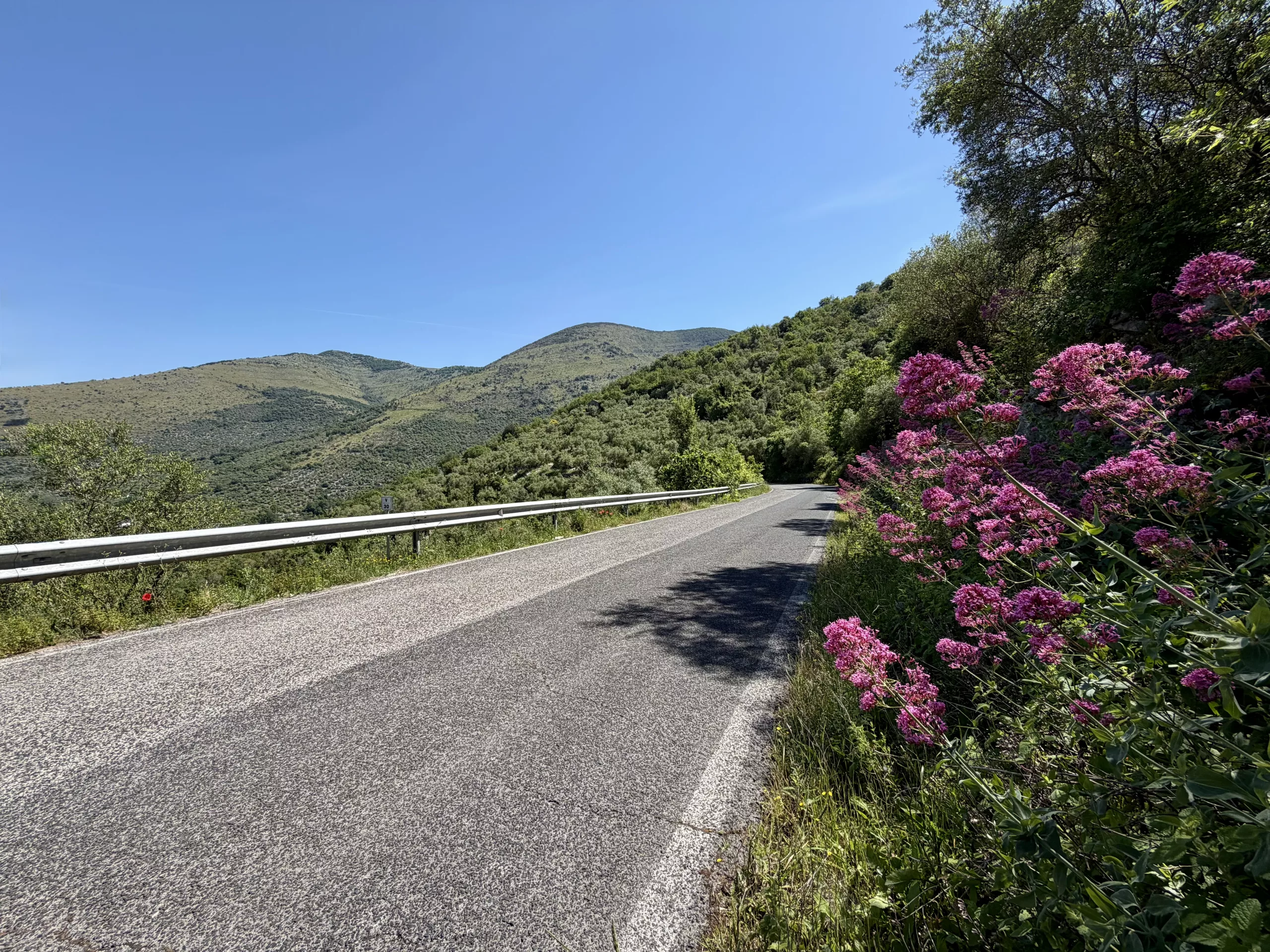 Vallecorsa, Italy #dustysocks