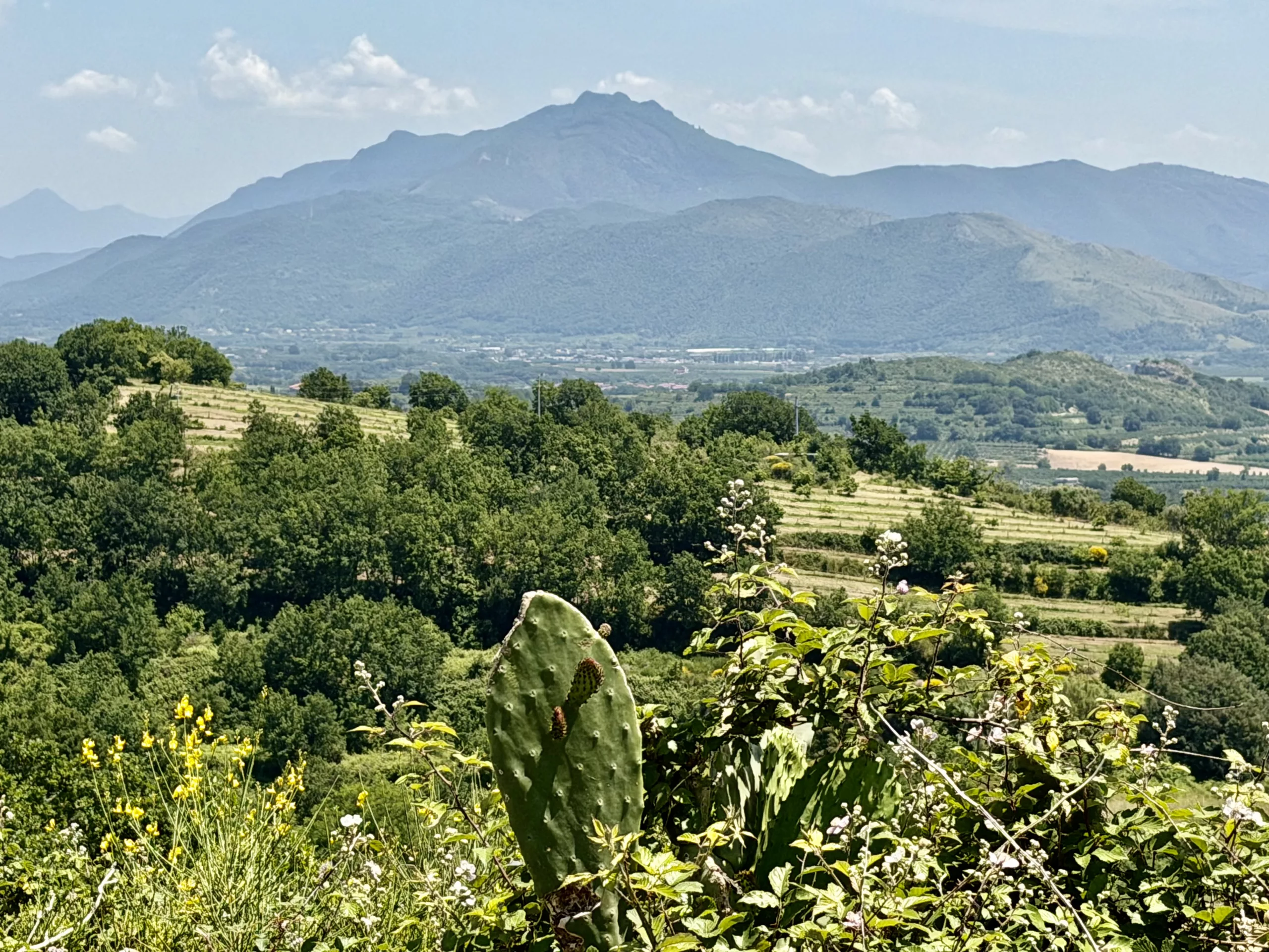 Teano, Italy #dustysocks