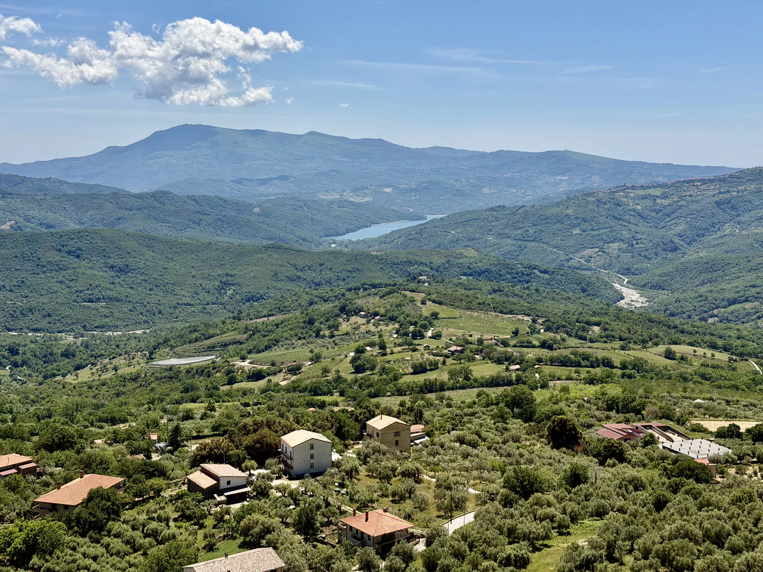 Monteforte Cilento, Italy #dustysocks