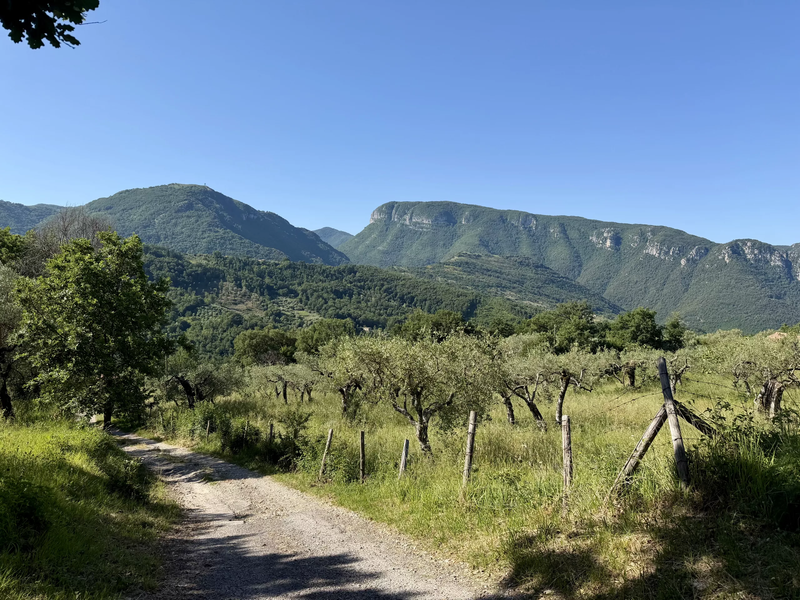 Piaggine, Italy