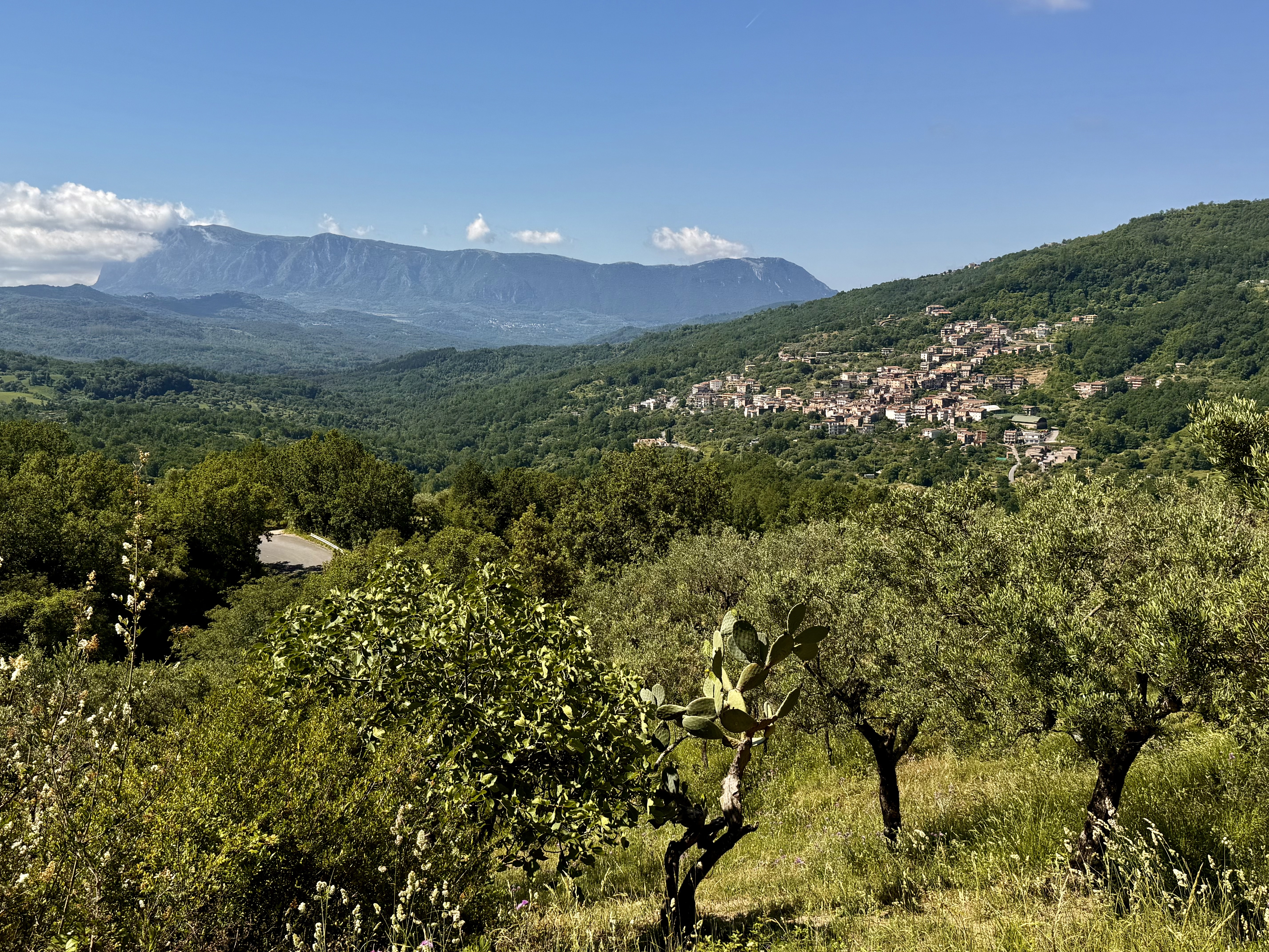 Rofrano, Italy #dustysocks