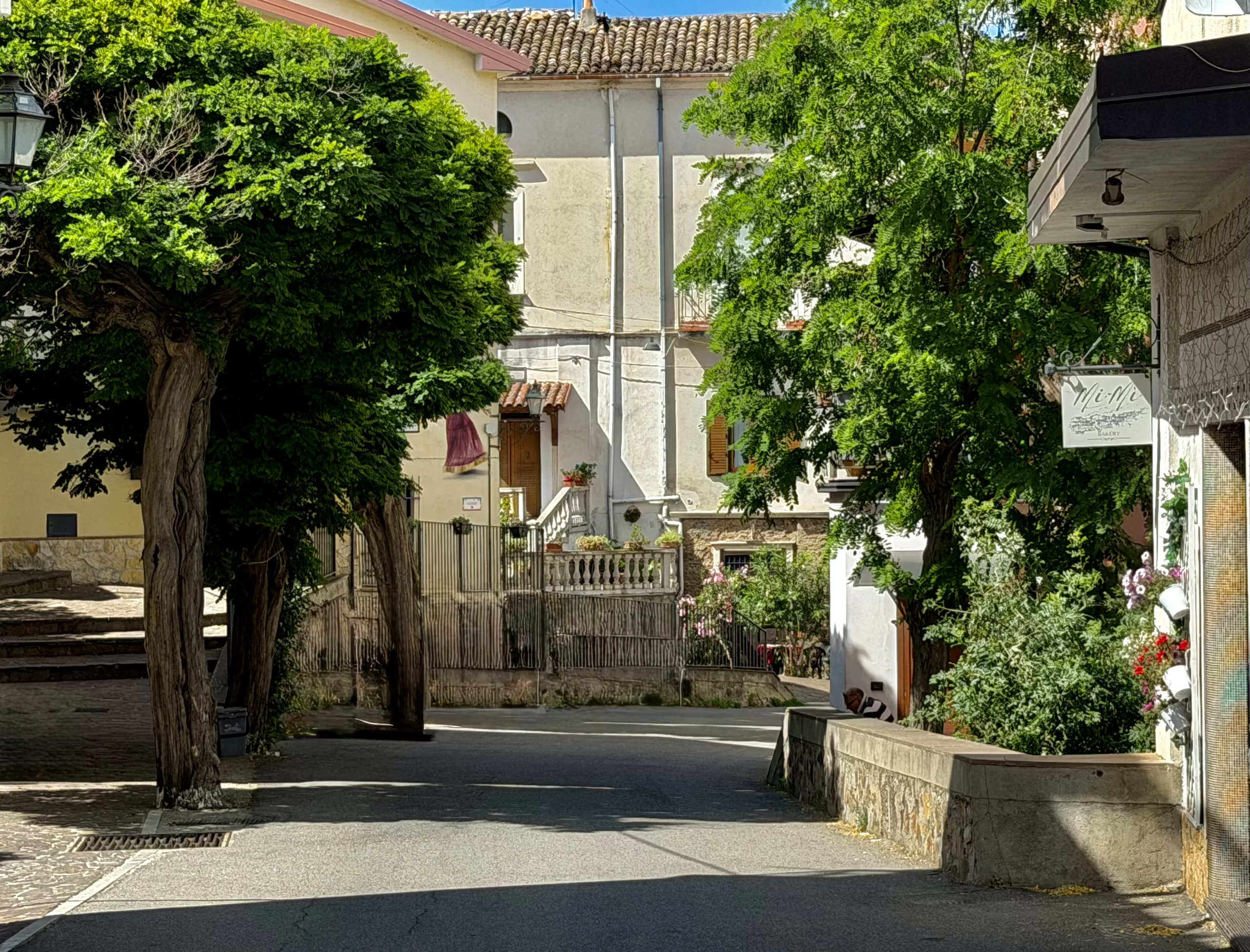 Santa Sofia d‘Epiro, Italy #dustysocks
