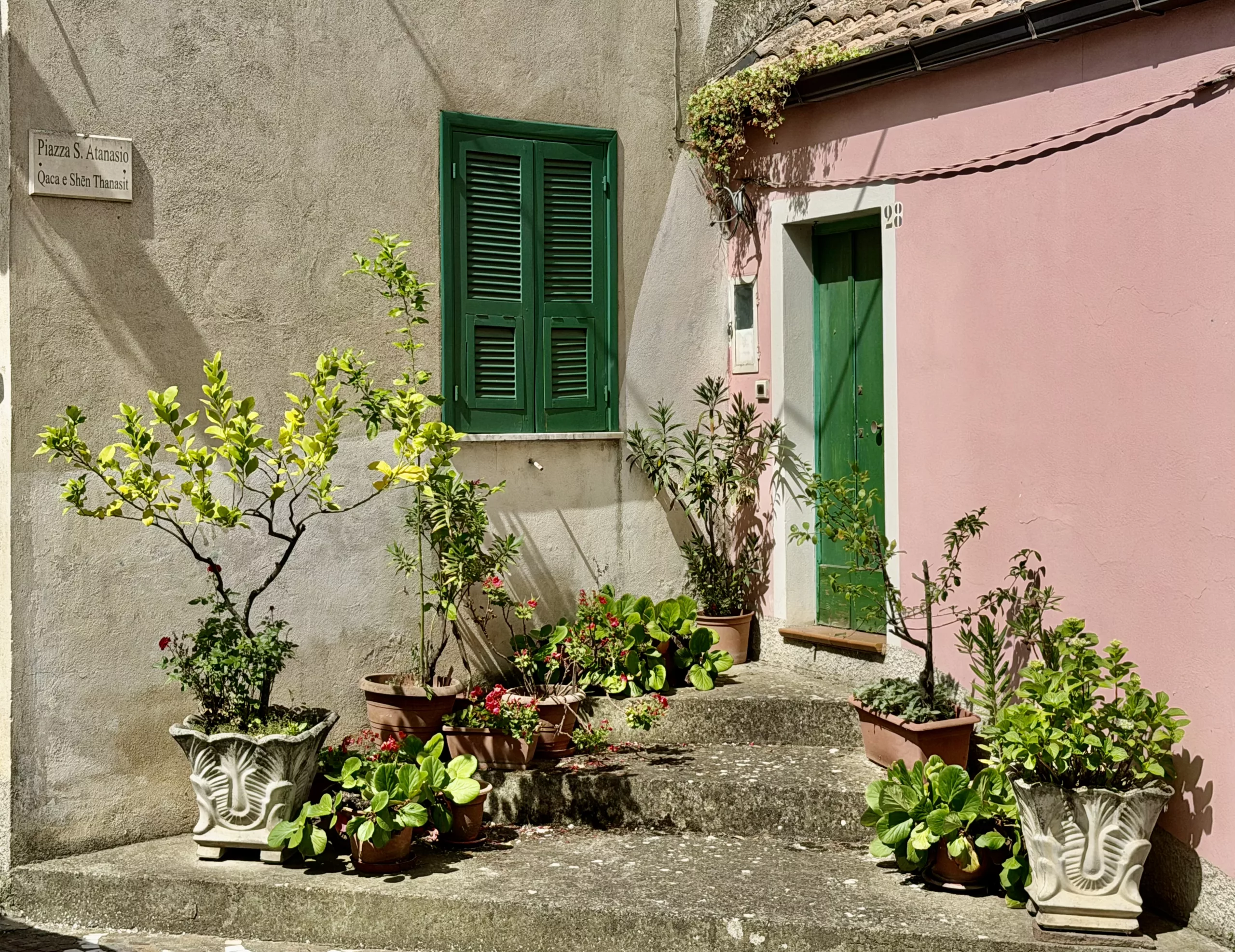 Santa Sofia d‘Epiro, Italy #dustysocks