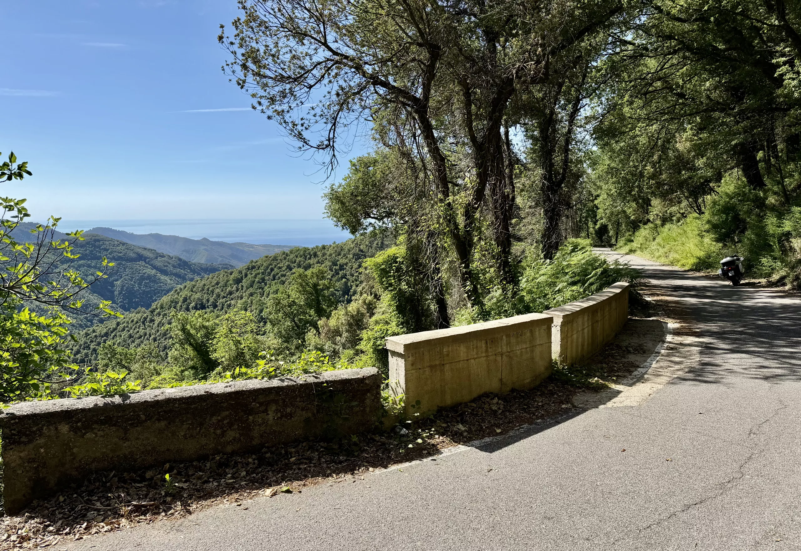 Calabria, Italy #dustysocks