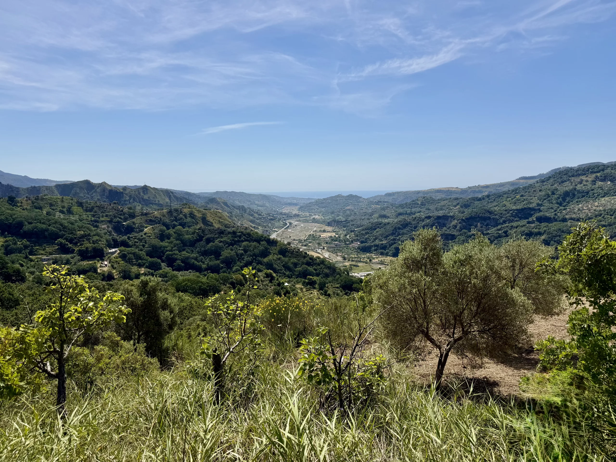 Mammola, Calabria, Italy #dustysocks
