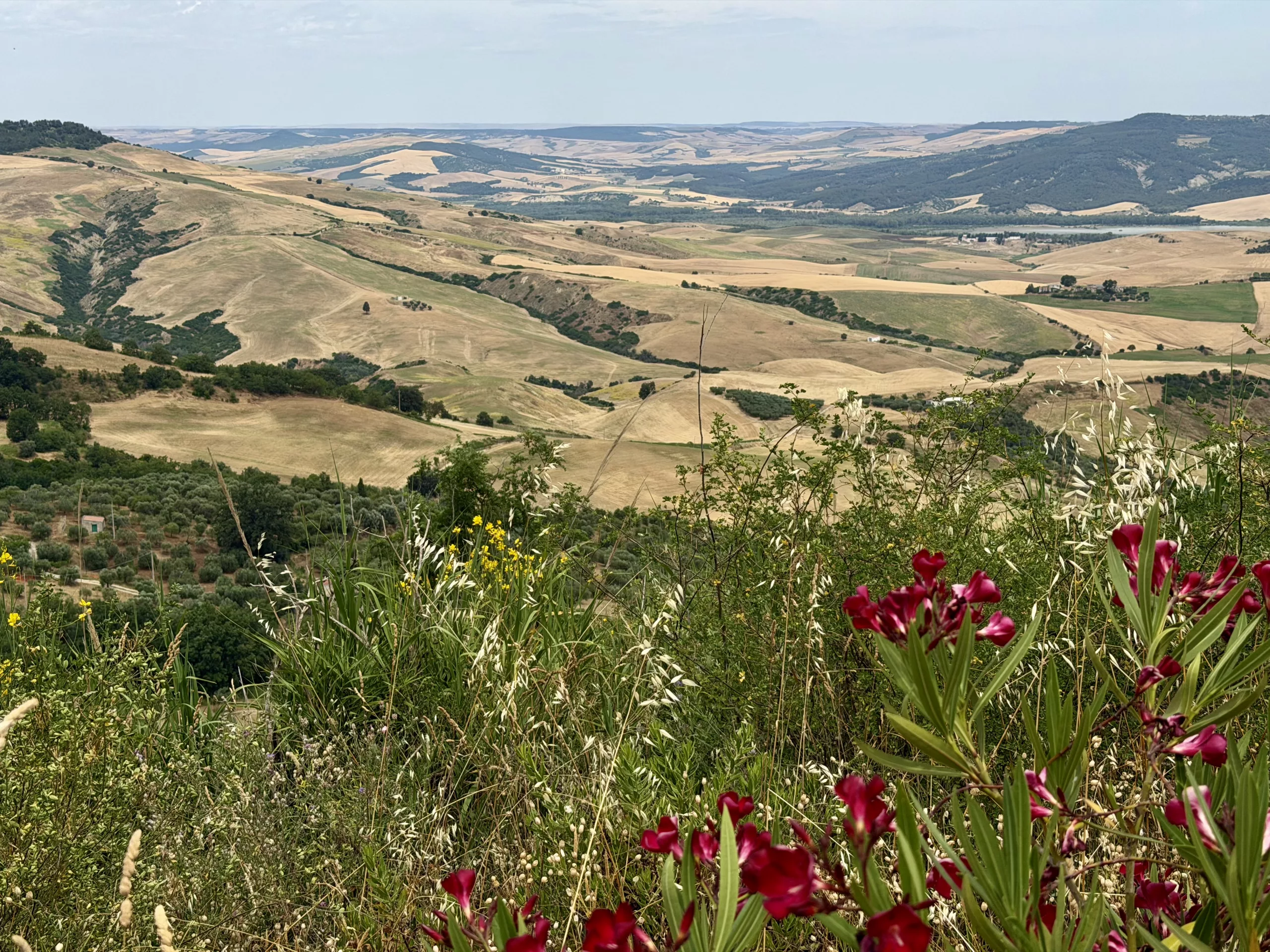 Miglionico, Italy #dustysocks