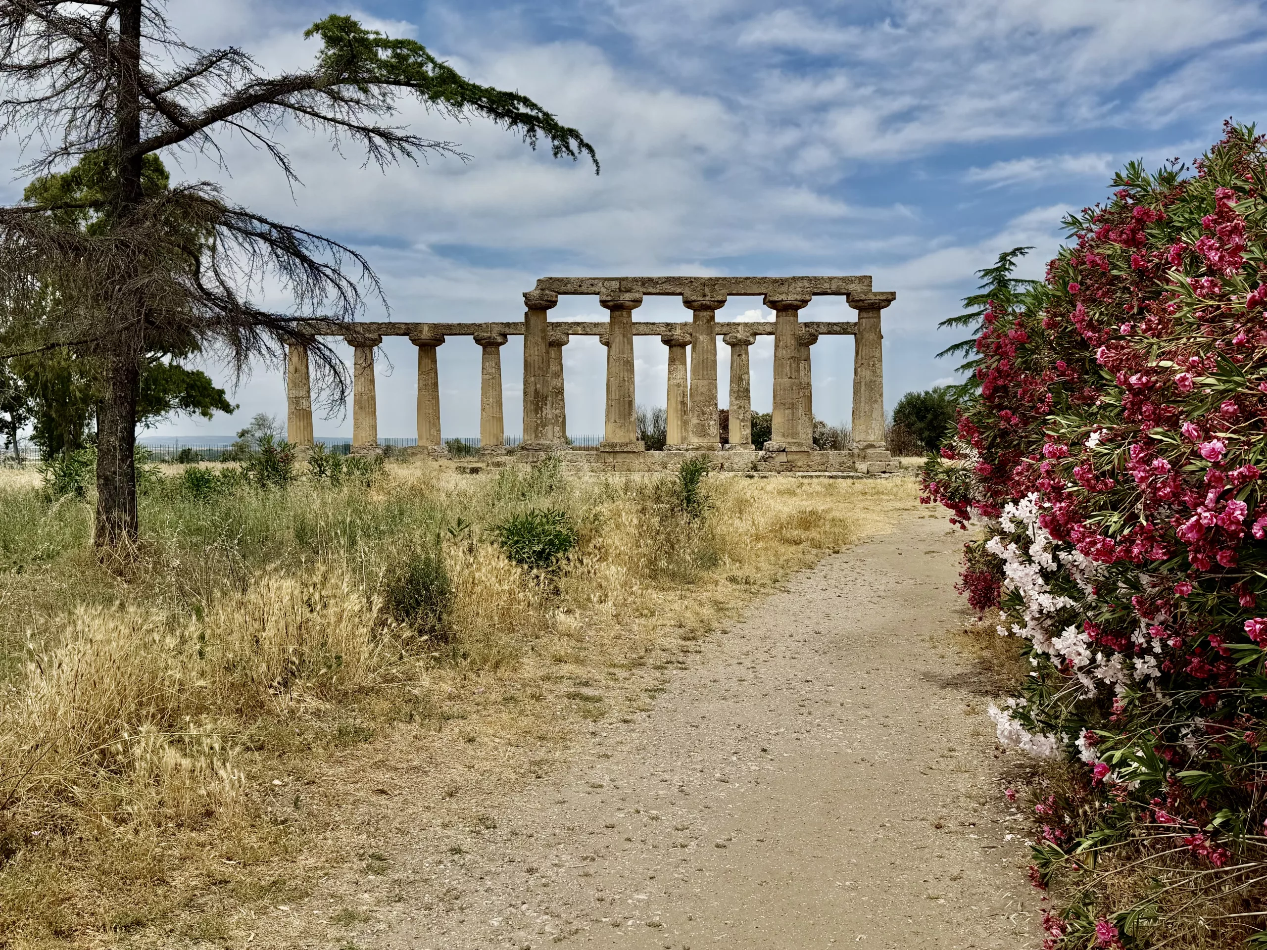 Sanctuary of Hera, Bernalda, Italy #dustysocks