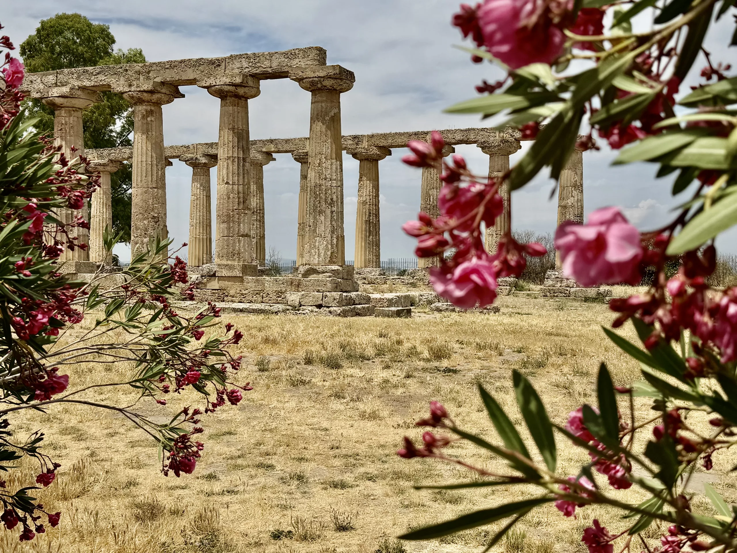 Sanctuary of Hera, Bernalda, Italy #dustysocks