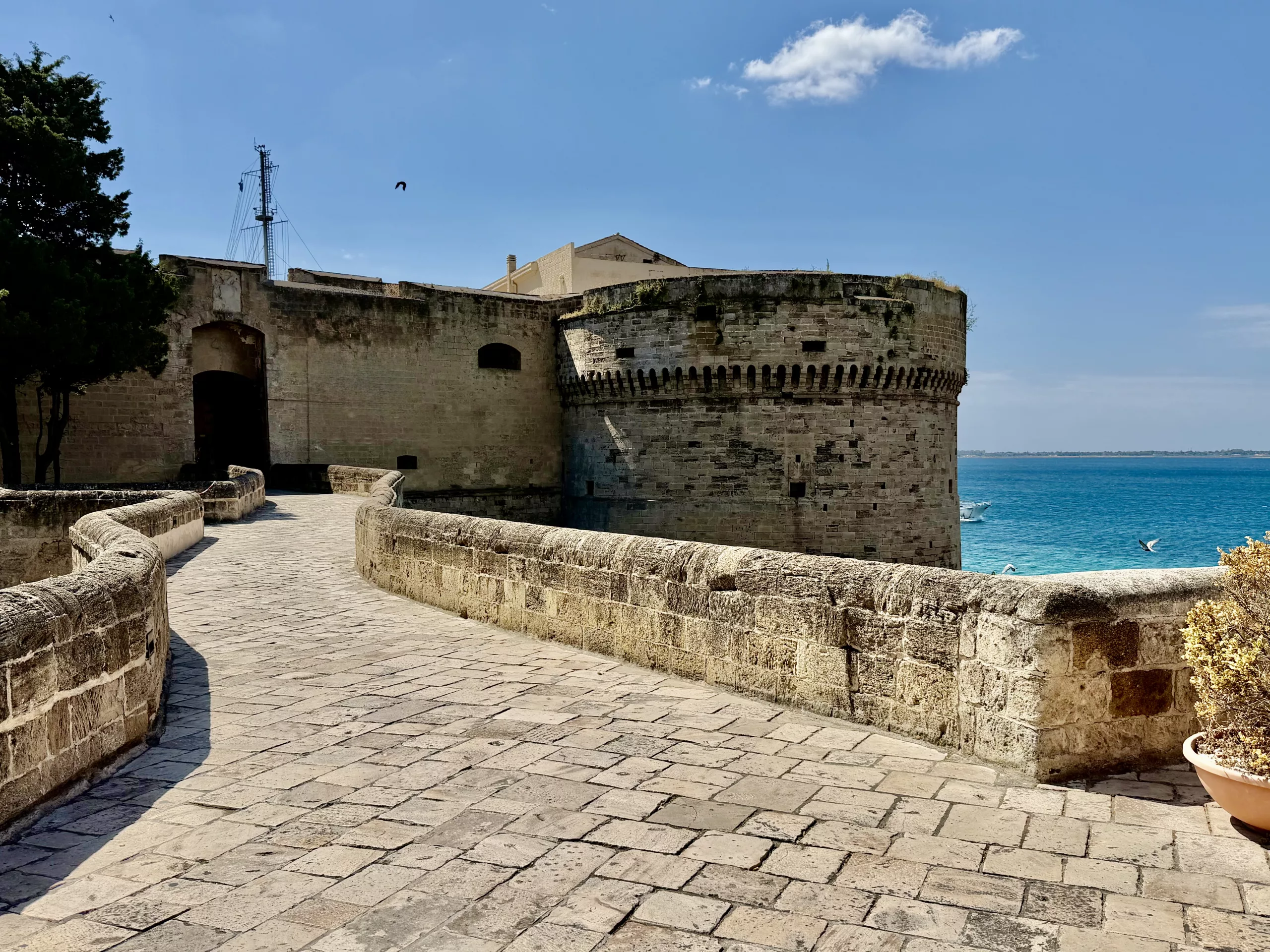 Taranto, Italy
#dustysocks