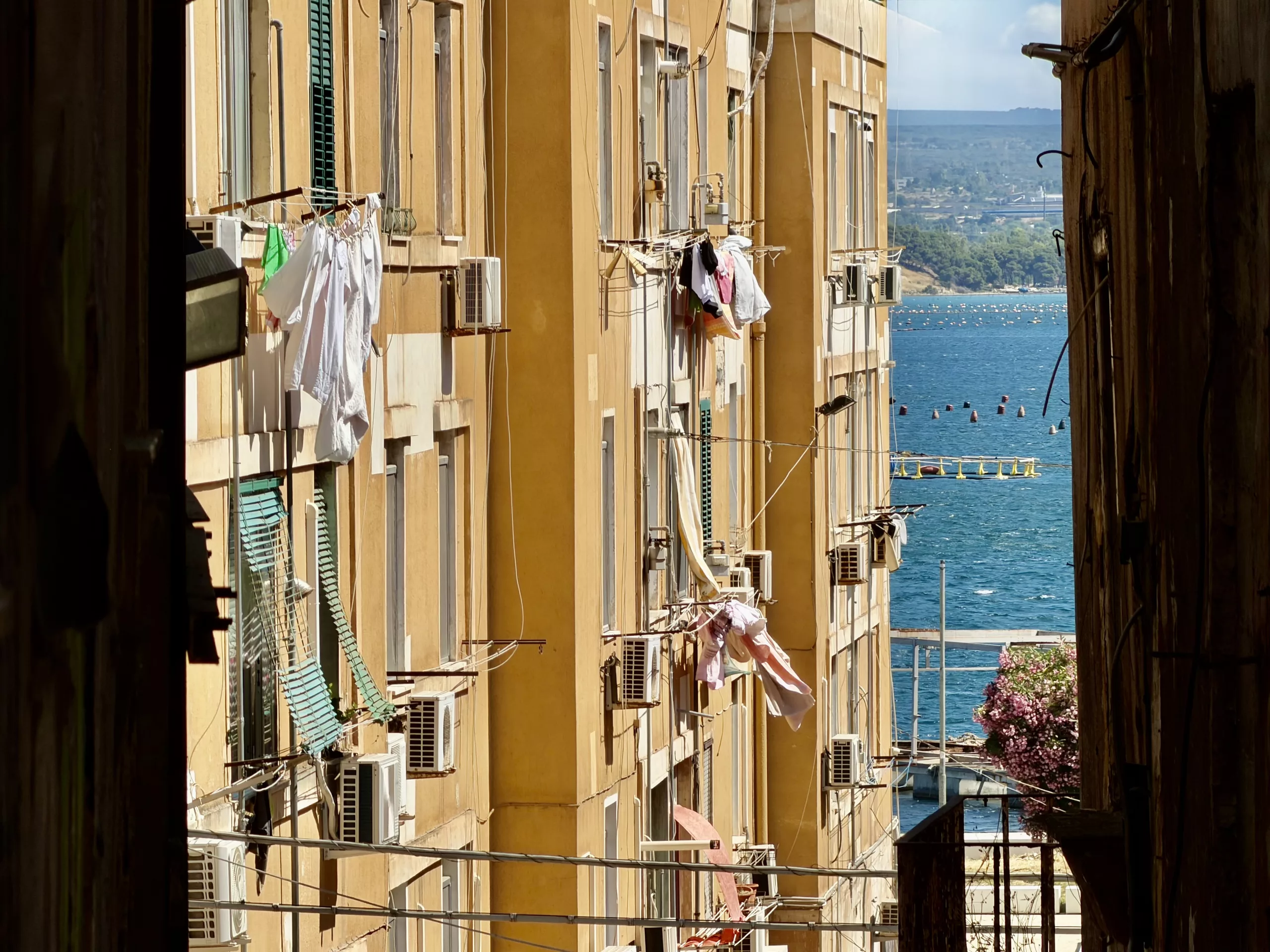 Taranto, Italy
#dustysocks