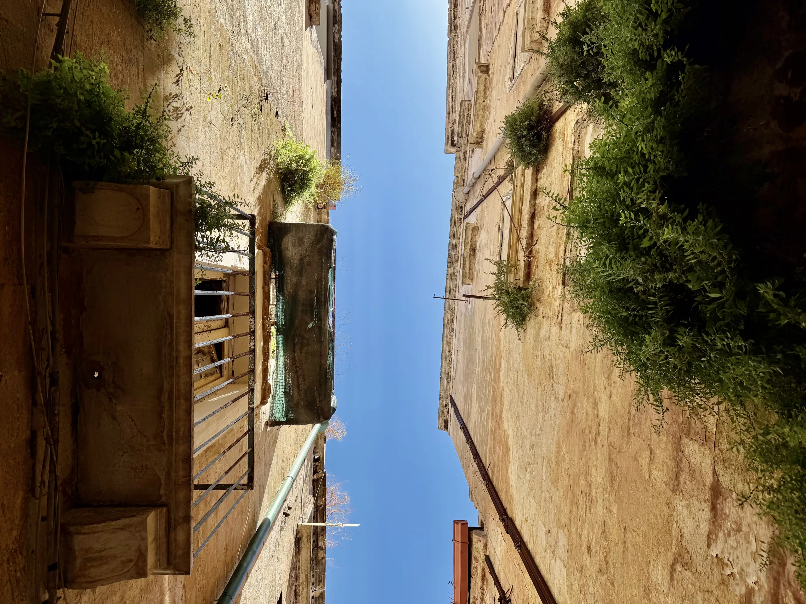 Taranto, Italy
#dustysocks