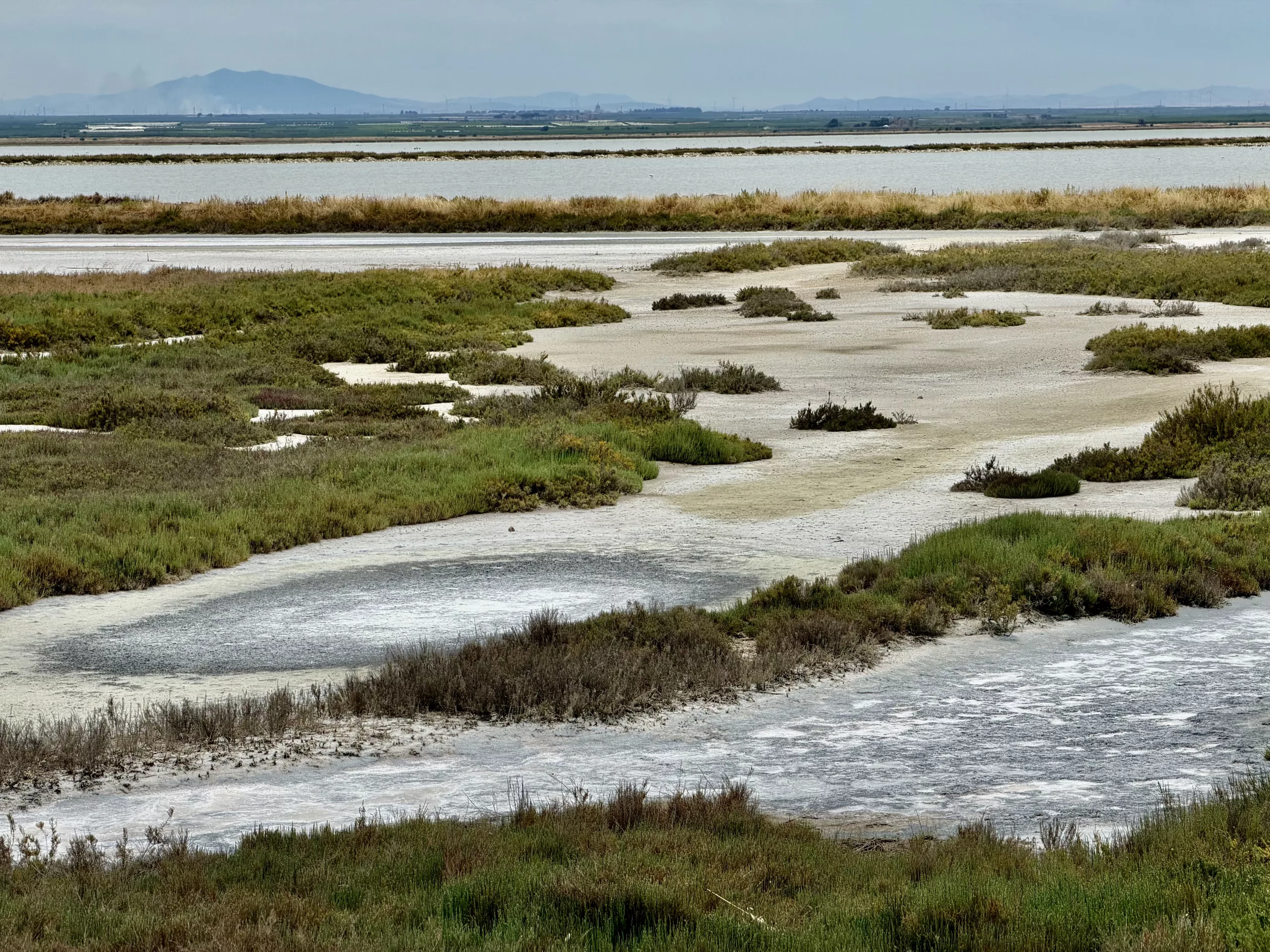 Salt fields, Italy #dustysocks