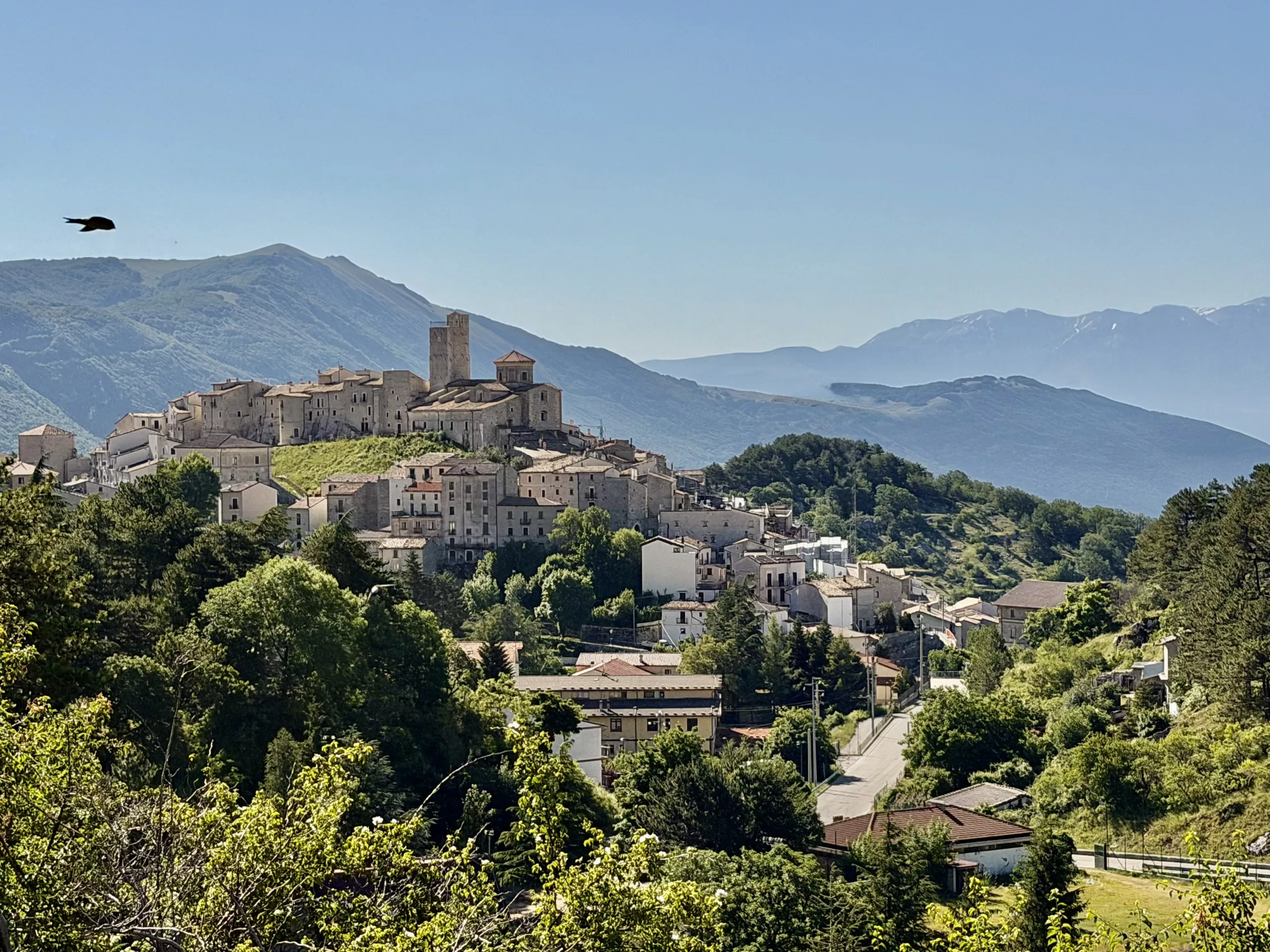 Castel del Monta, Italy #dustysocks