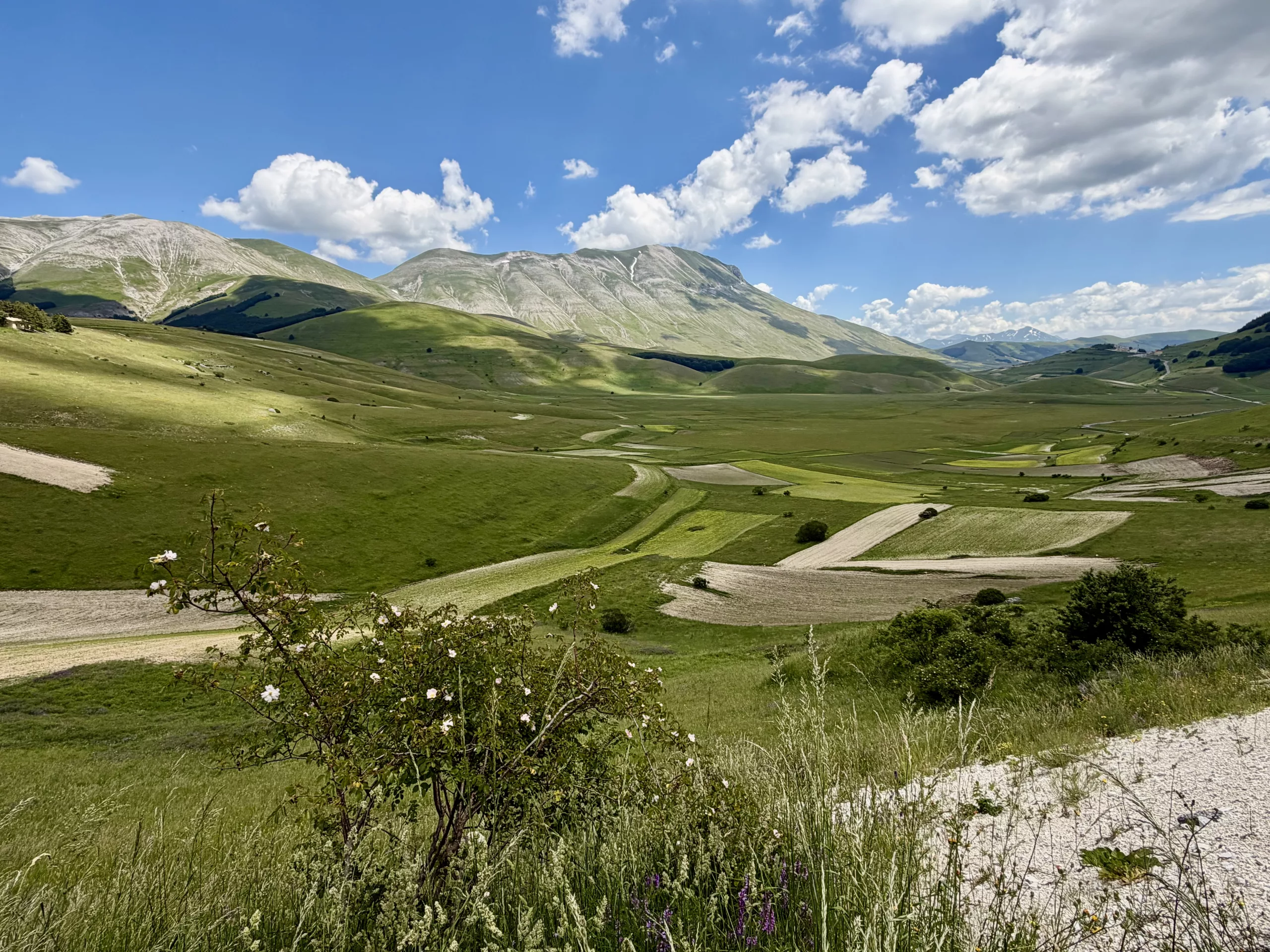Norcia, Italy #dustysocks